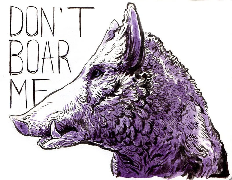 Don’t Boar Me