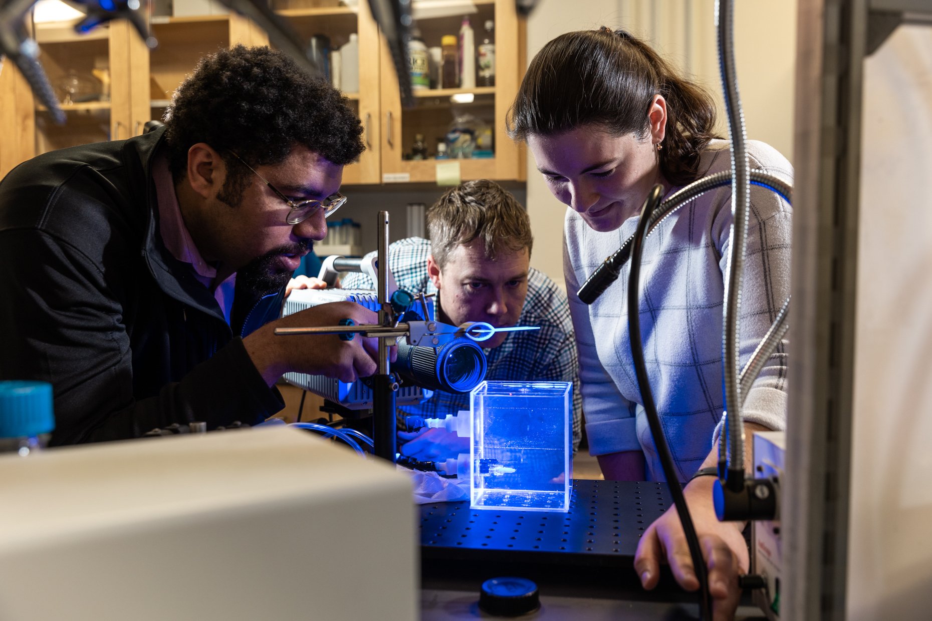 Researchers in a laboratory examining a small illuminated tank with a blue glow, surrounded by scientific equipment and wooden shelves in the background.