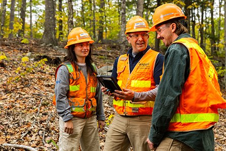 Three forestry workers in safety vests and helmets standing outdoors in a wooded area, discussing something on a tablet.