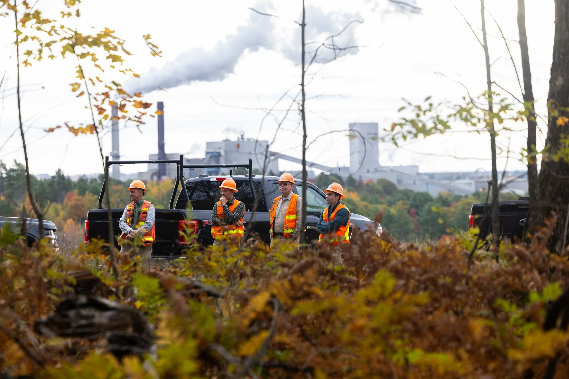 Four construction workers wearing orange helmets and safety vests standing outdoors amidst trees with a factory in the background. The scene is framed by fallen leaves and branches.