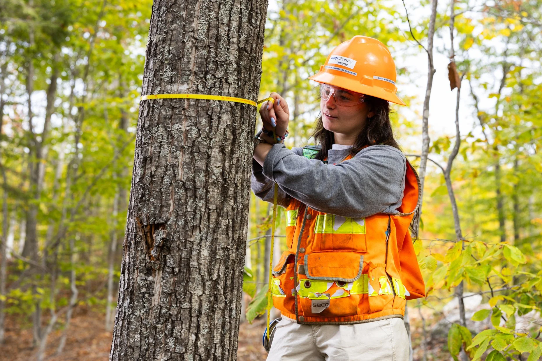 A woman with long dark hair wearing an orange safety helmet, clear safety glasses, a gray long-sleeved shirt, and an orange safety vest, measures the circumference of a tree with a yellow measuring tape in a forest with green and yellow leaves.
