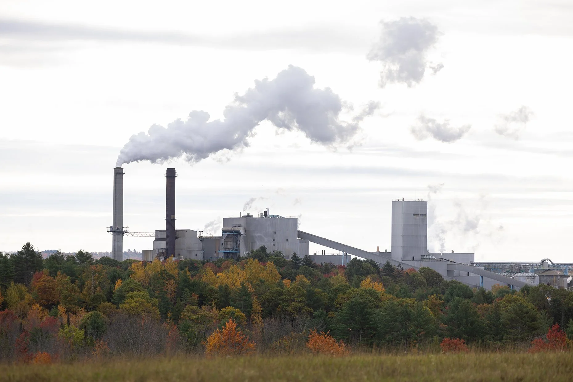 An industrial factory with multiple smokestacks emitting white smoke, situated behind a forest with trees displaying fall foliage colors.