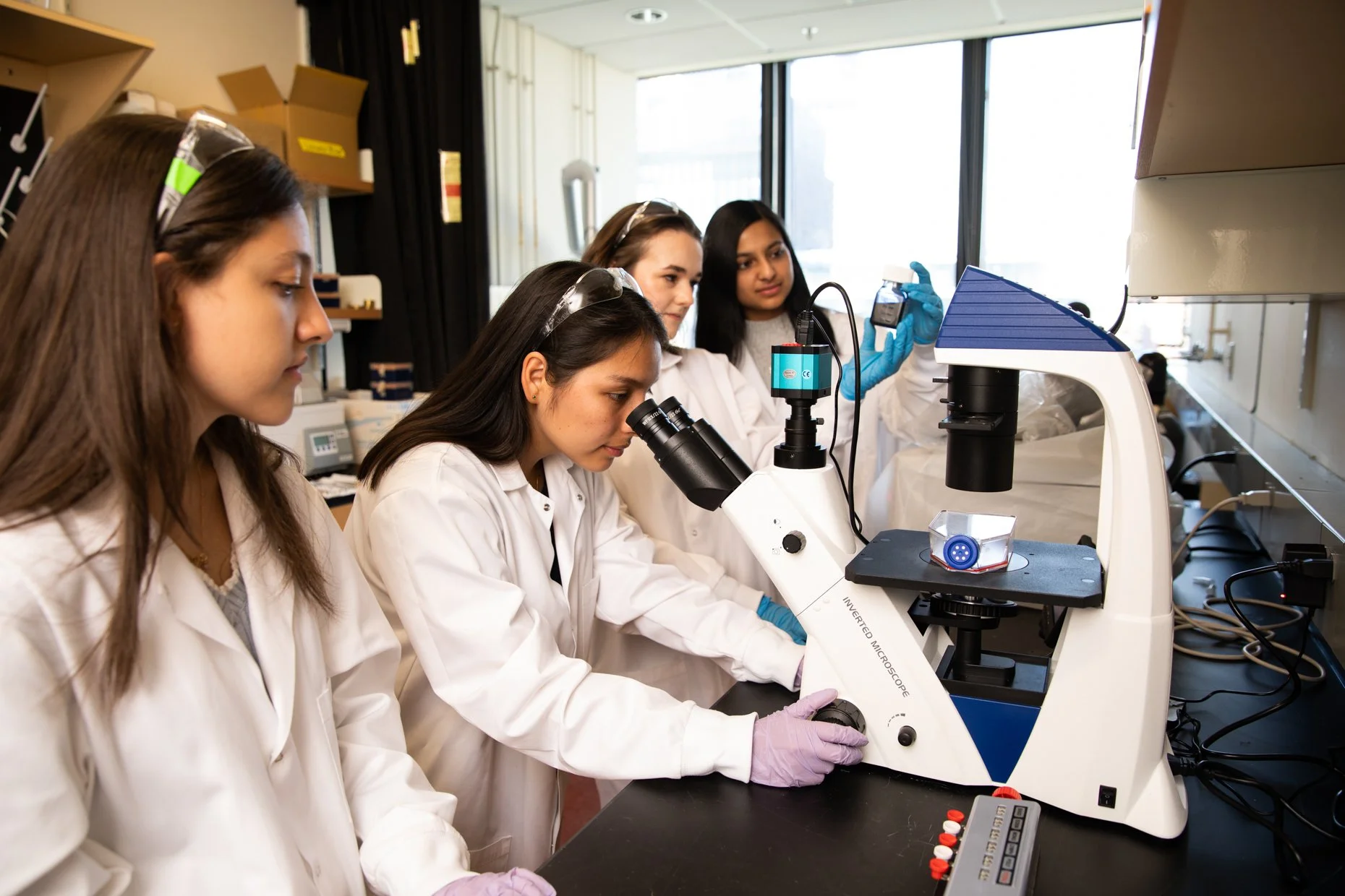 Group of five diverse women in lab coats working with scientific equipment in a laboratory, with one using a microscope and another holding a test tube.