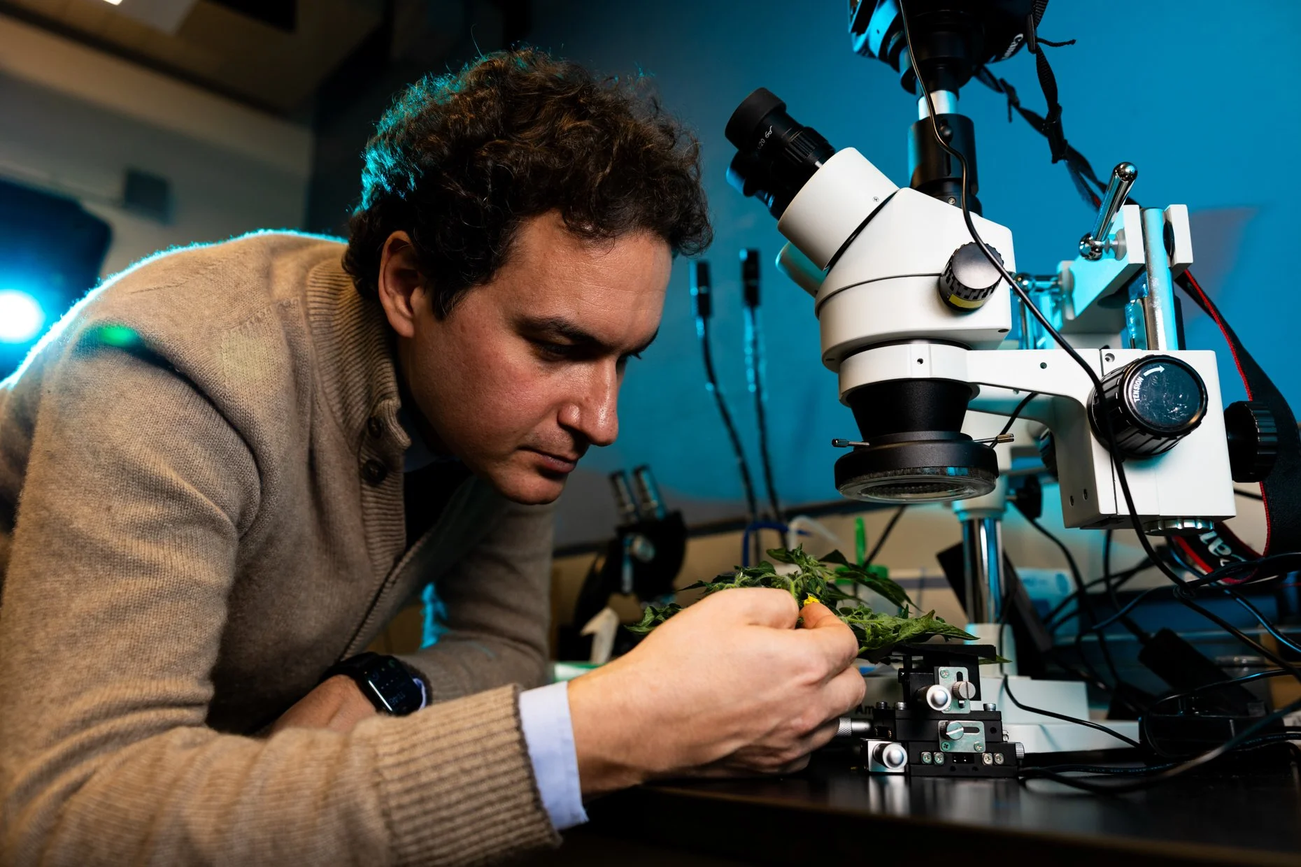 A scientist examining a plant sample through a microscope in a laboratory.