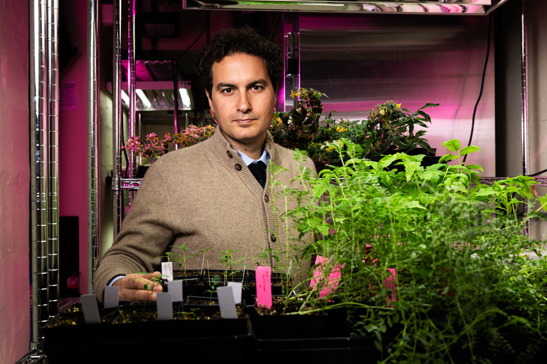A man in a beige sweater and collared shirt standing in an indoor plant nursery with various potted plants around him, under pink grow lights.