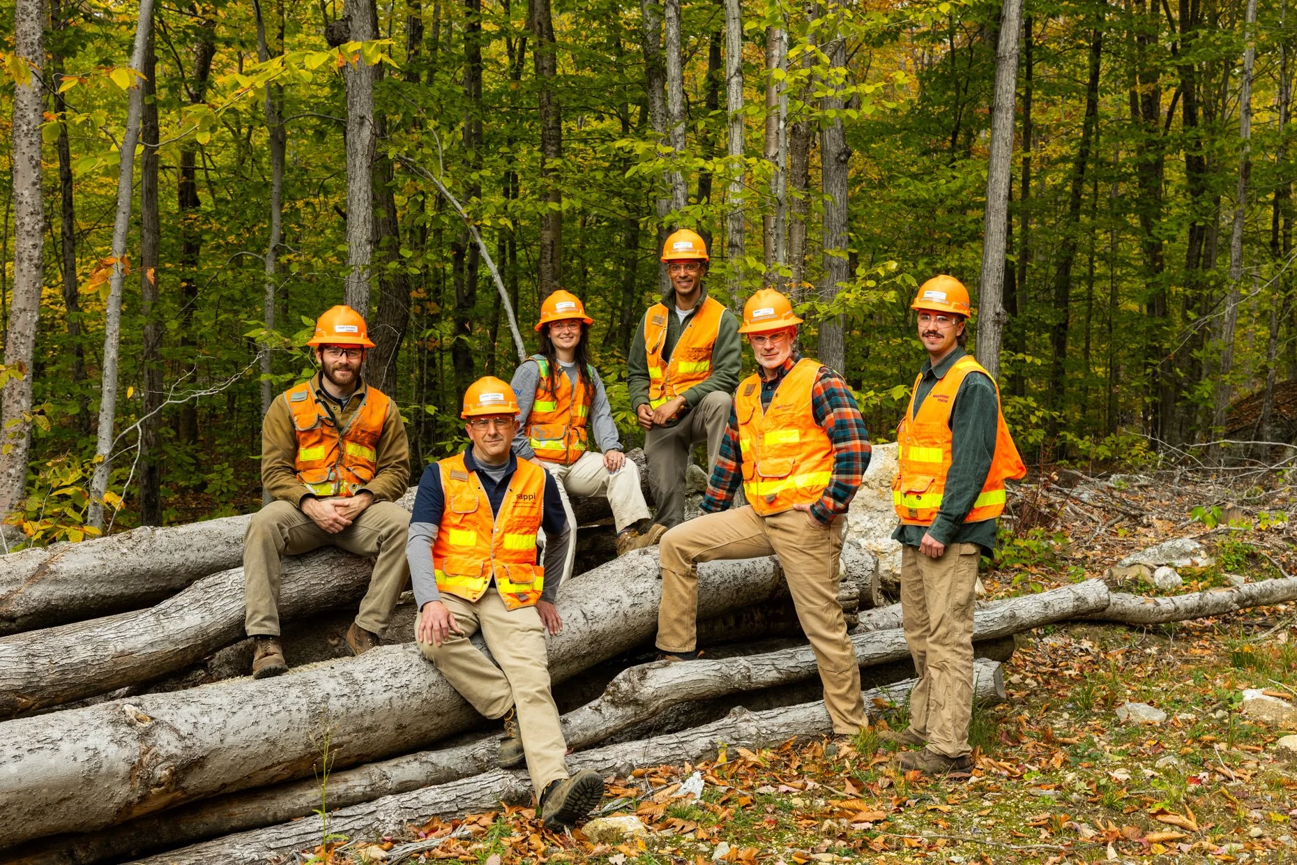 Group of seven construction workers wearing orange safety vests and helmets, posing on fallen tree logs in a wooded area during autumn.