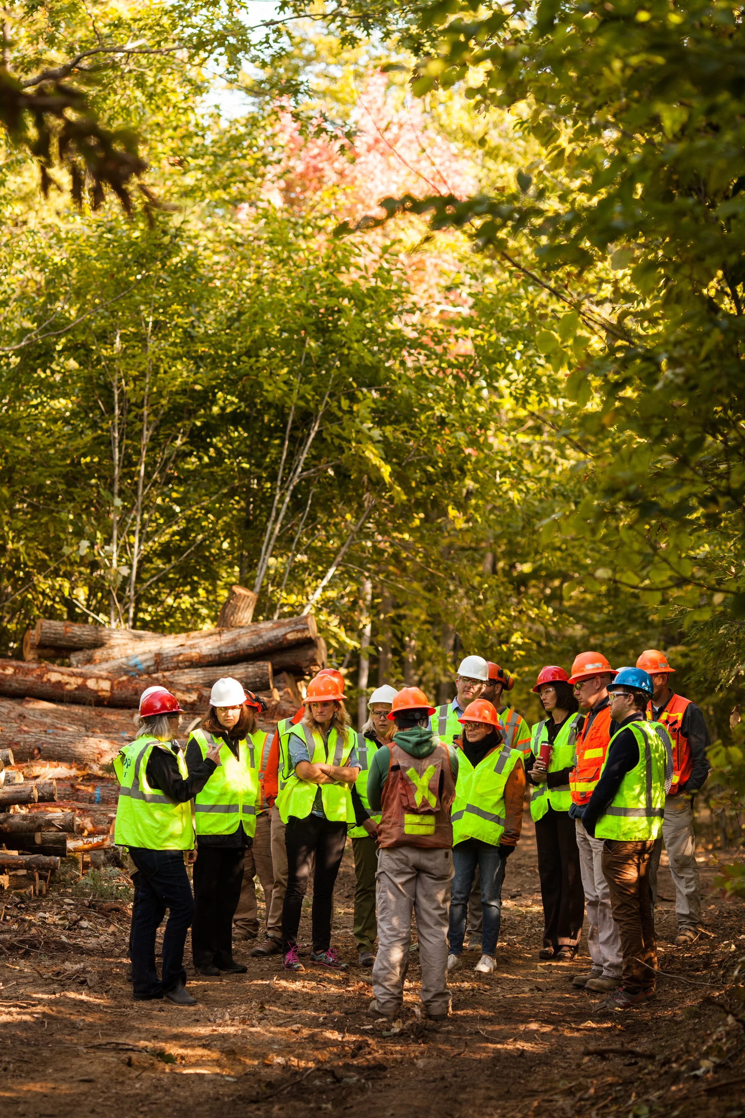 North Falmouth Sappi Forest_100217-105.JPG