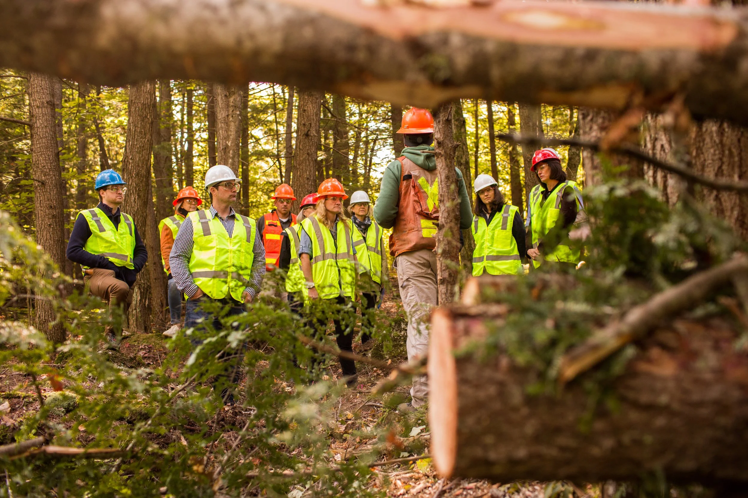 North Falmouth Sappi Forest_100217-183.JPG