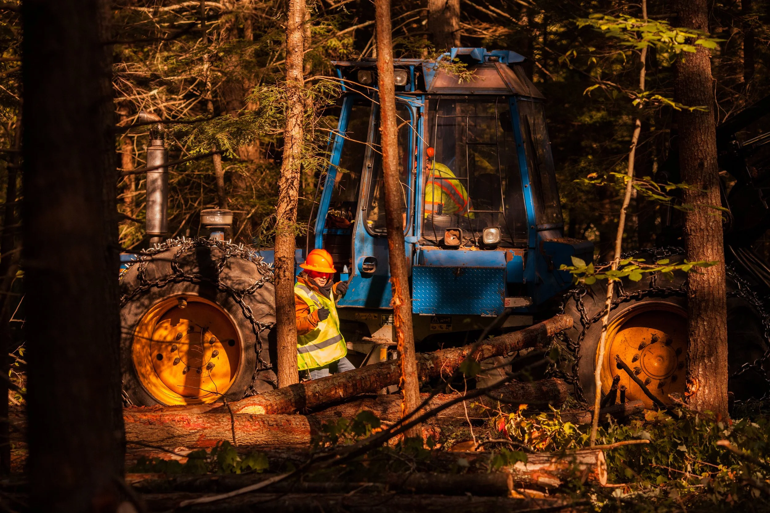 North Falmouth Sappi Forest_100217-252.JPG