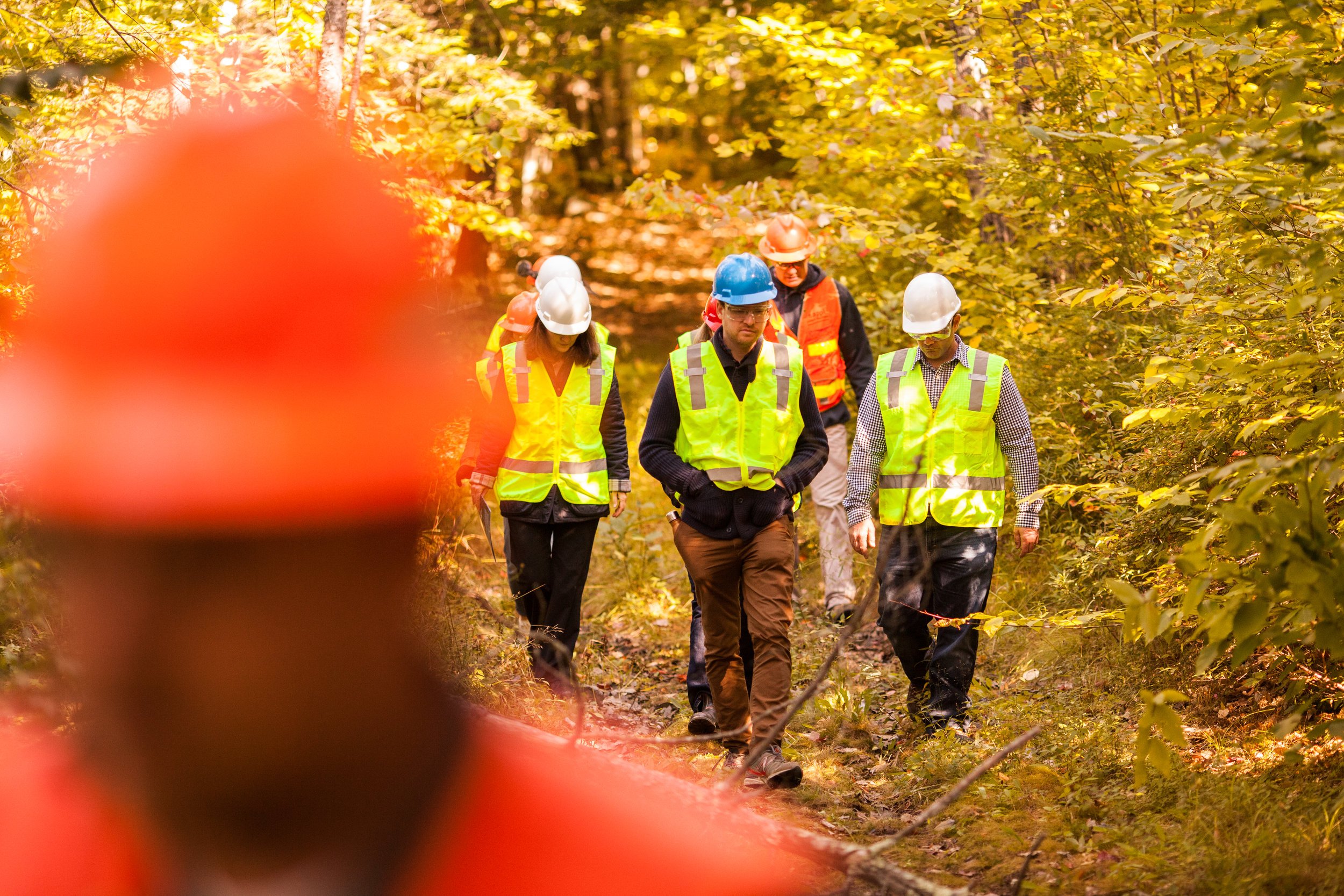 North Falmouth Sappi Forest_100217-301.JPG