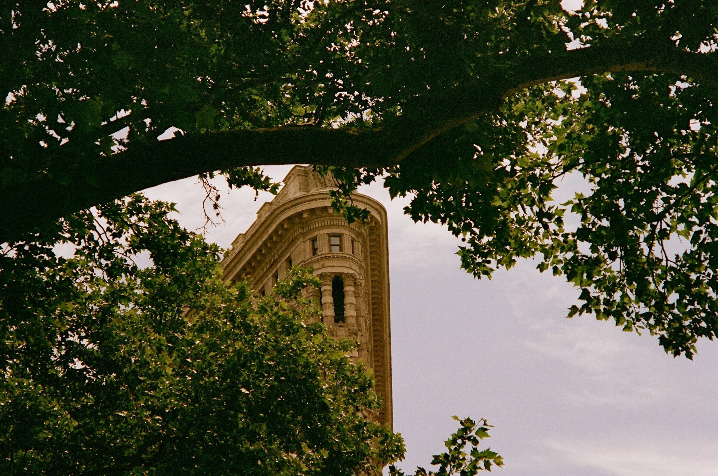 A tall historic building with a curved corner and arched windows, partially visible behind a canopy of green trees with dense leaves, under an overcast sky.