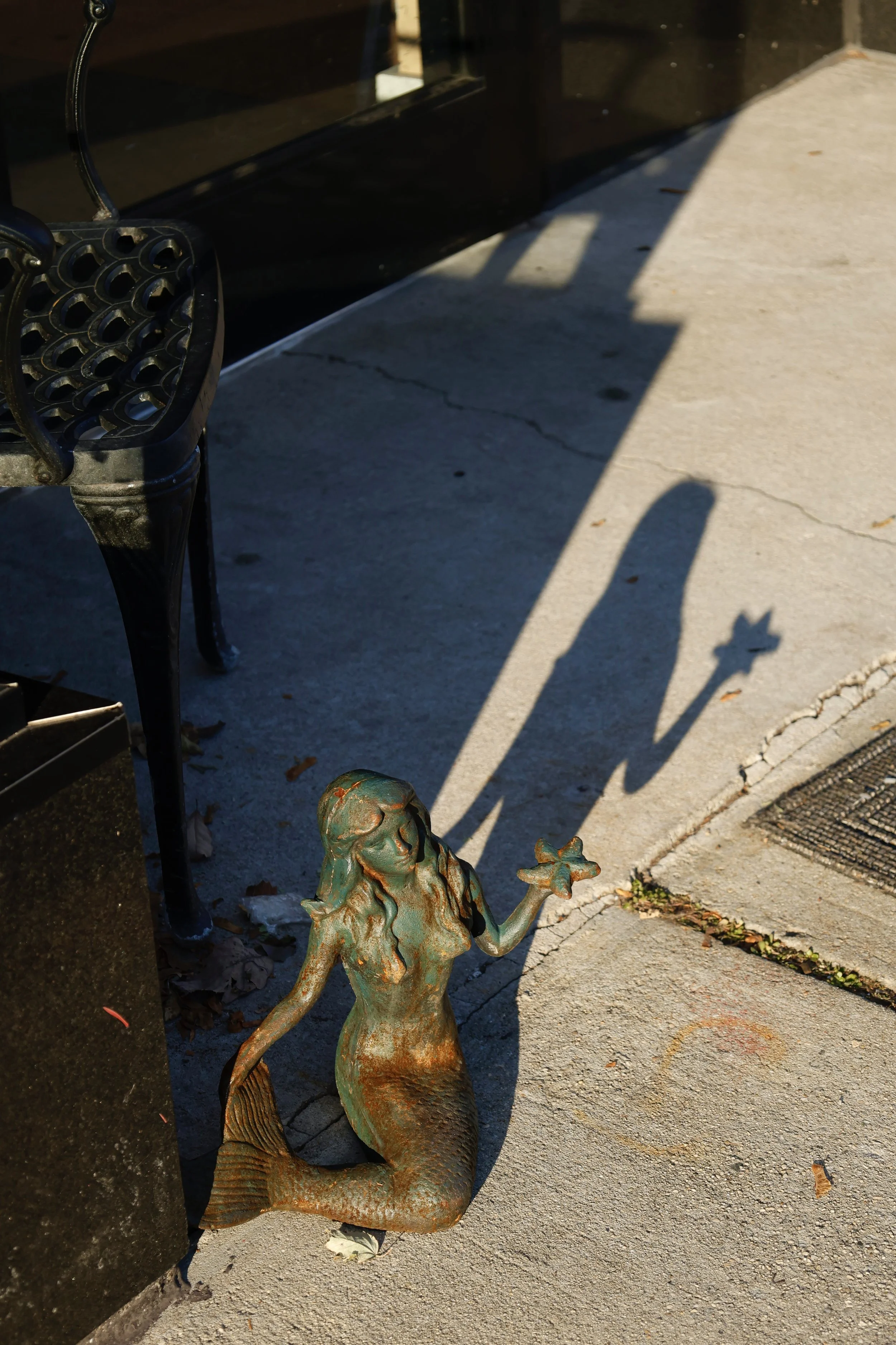 A bronze-colored statue of a mermaid sitting on the ground near a black metal bench with ornate armrests. The mermaid is holding a star in her right hand and is gazing upward. The area is outdoors with a concrete sidewalk, shadows, and some fallen leaves.