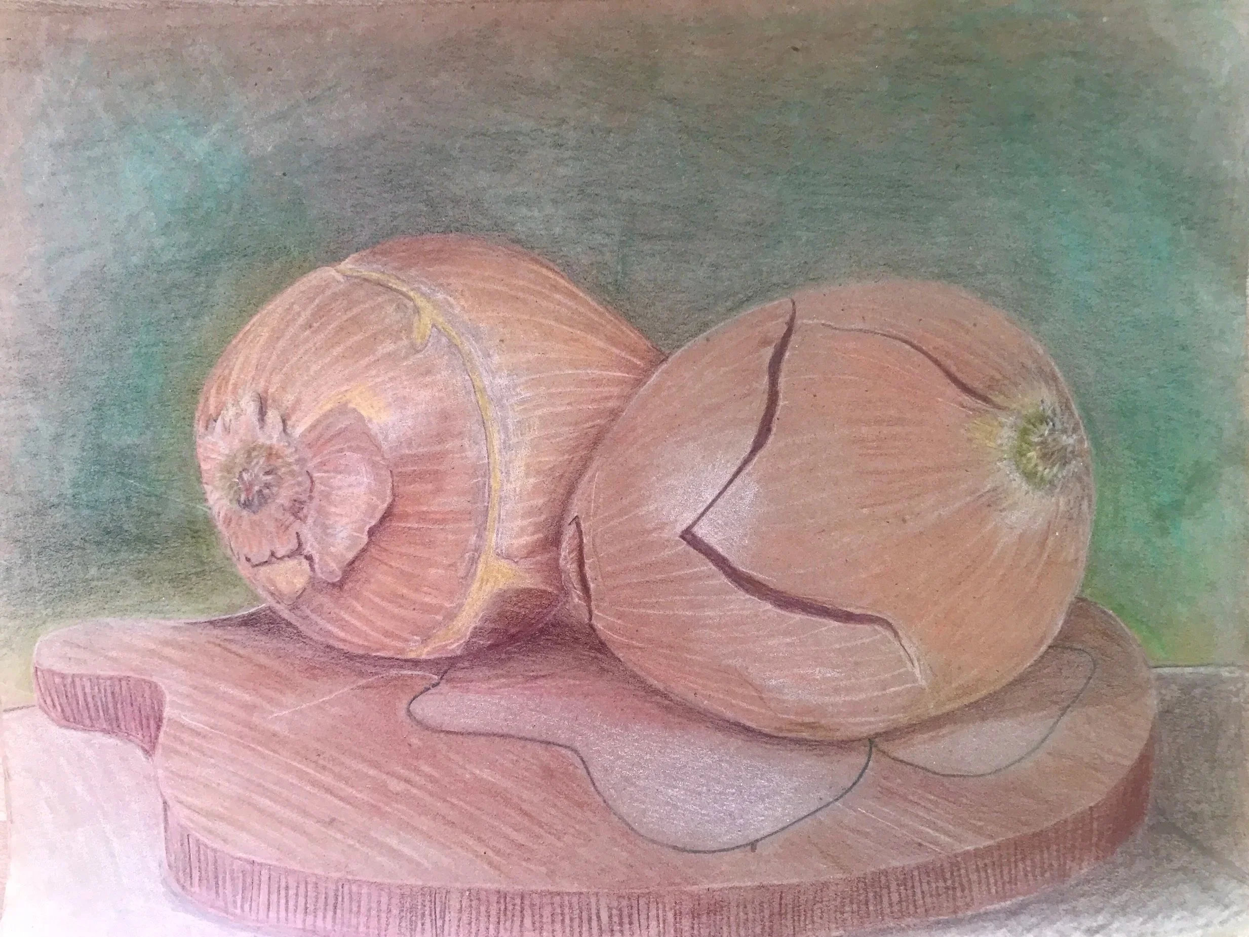 Spence, Olivia. Onions. 2020. Colored pencil and pastel on parchment.