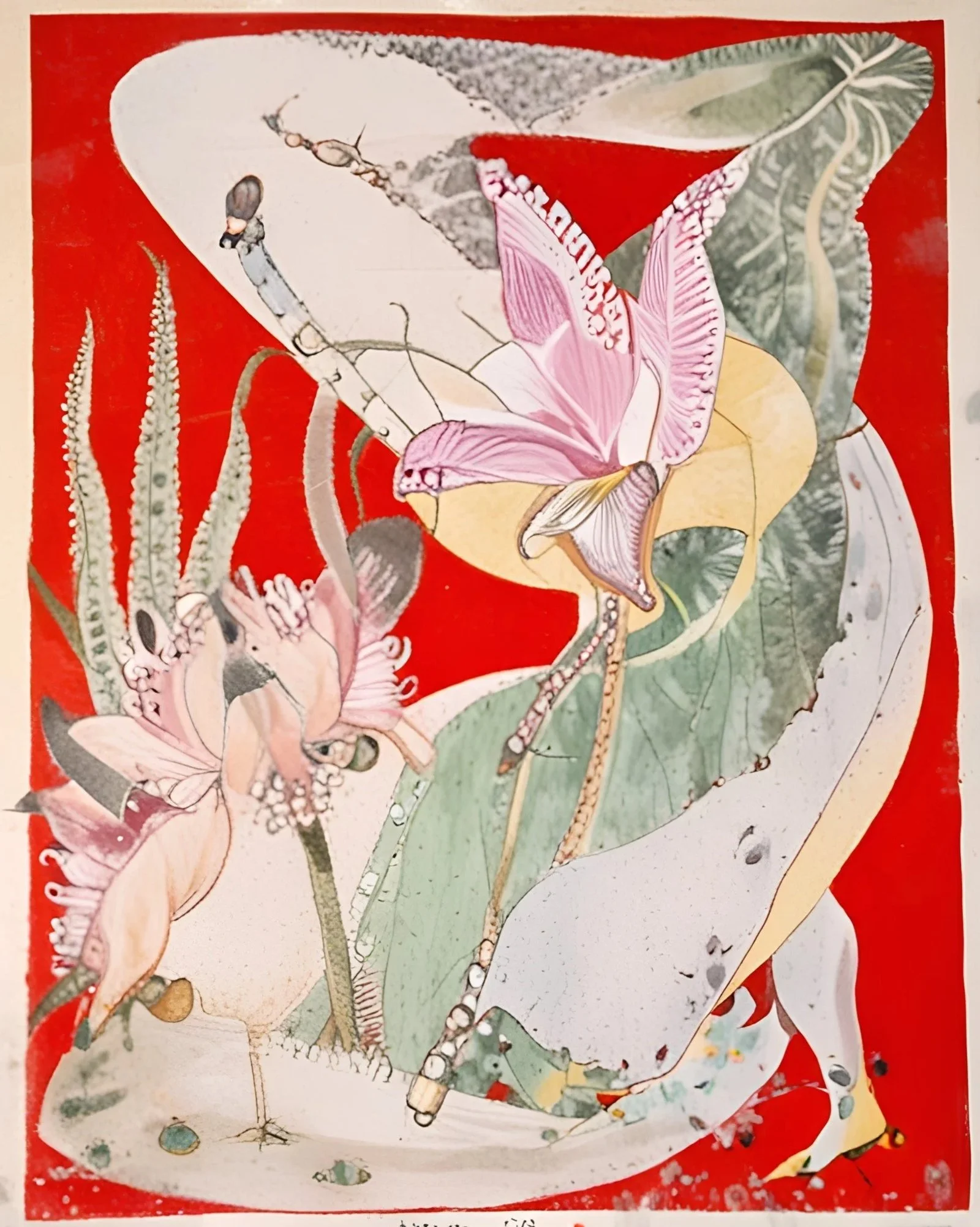 Spence, Olivia. Dysmorph.d. 2025. Pencil, ink, acrylic and collage on paper.