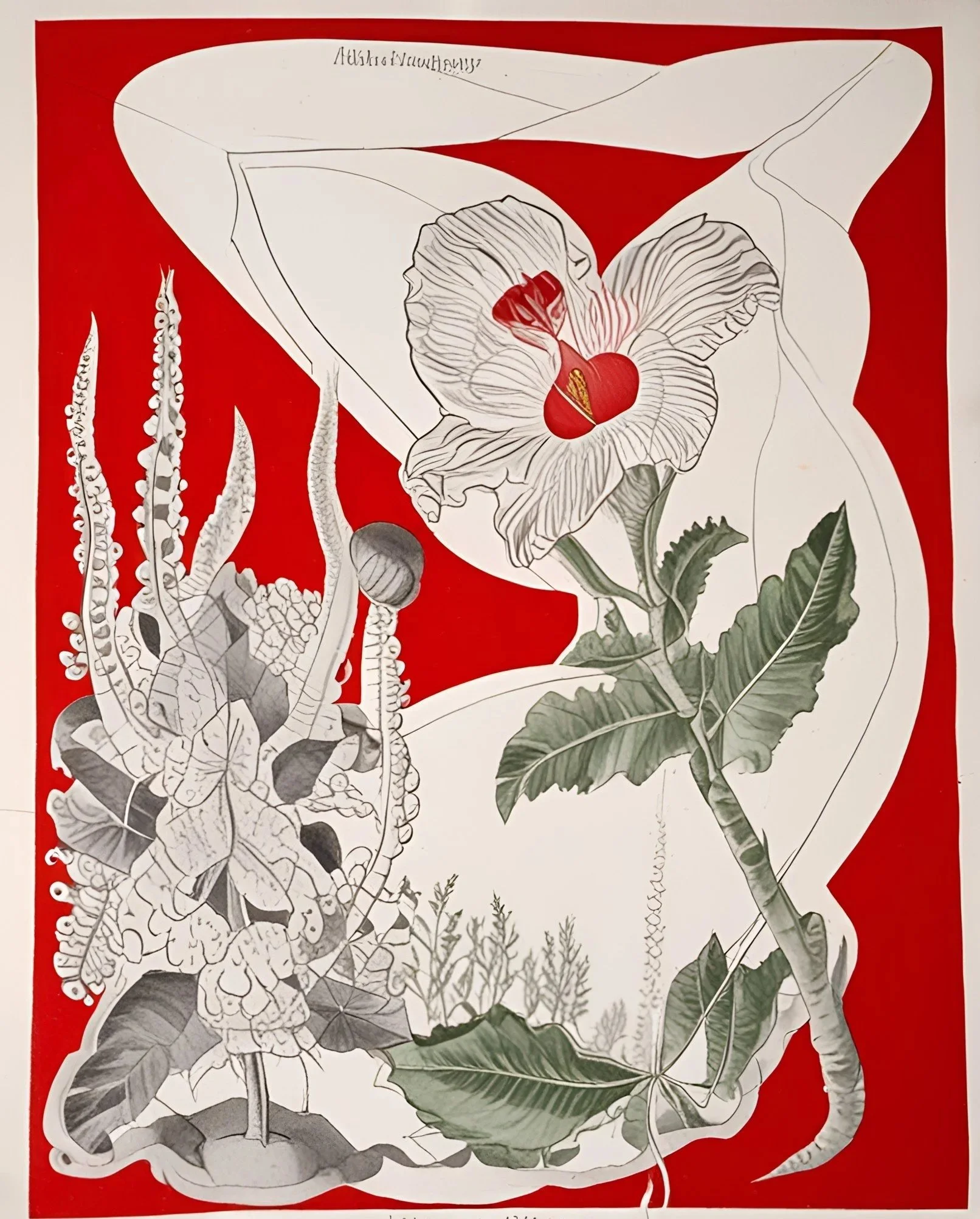Spence, Olivia. Dysmorph. 2025. Pencil, ink and acrylic on paper.