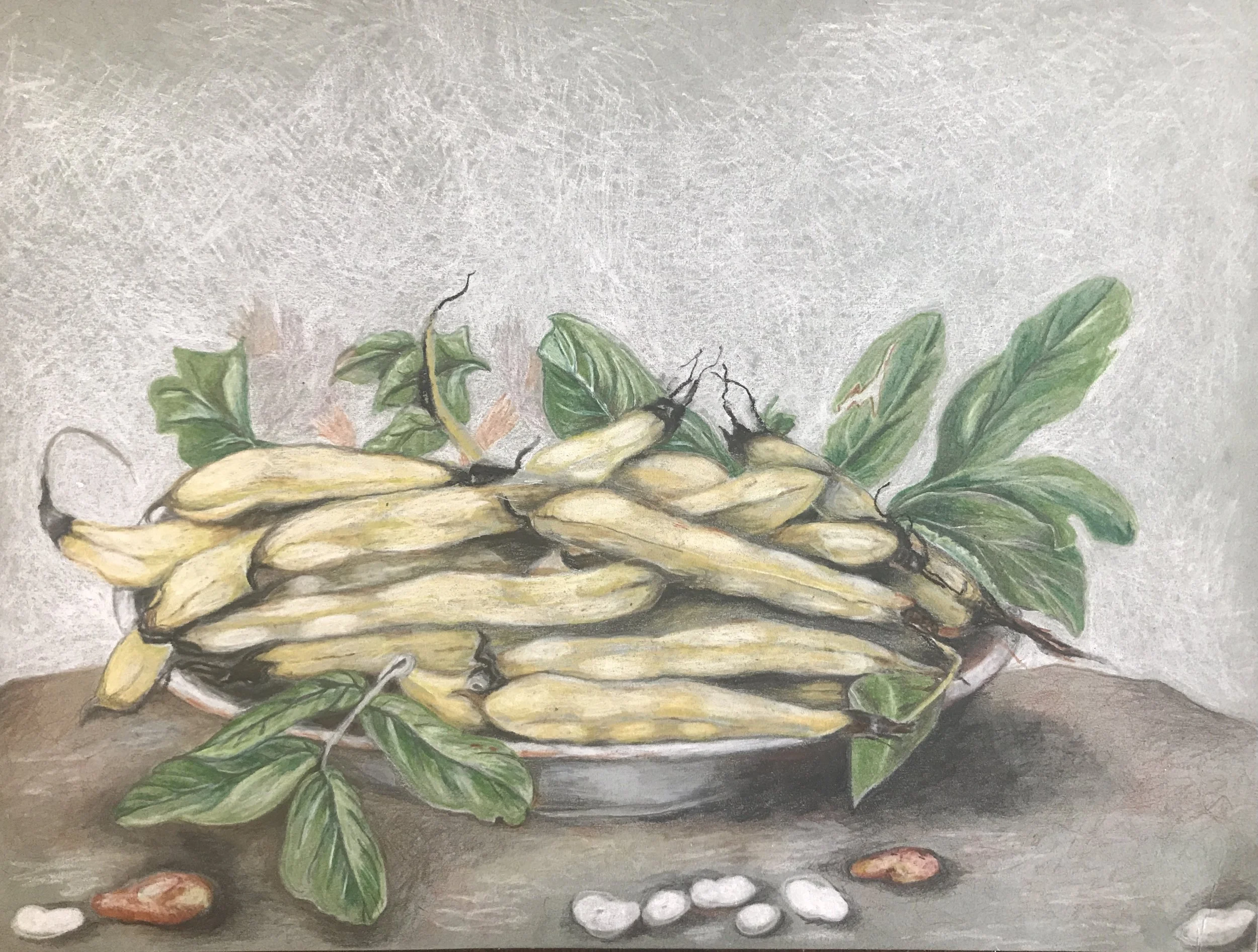 Nature/Still Life Studies