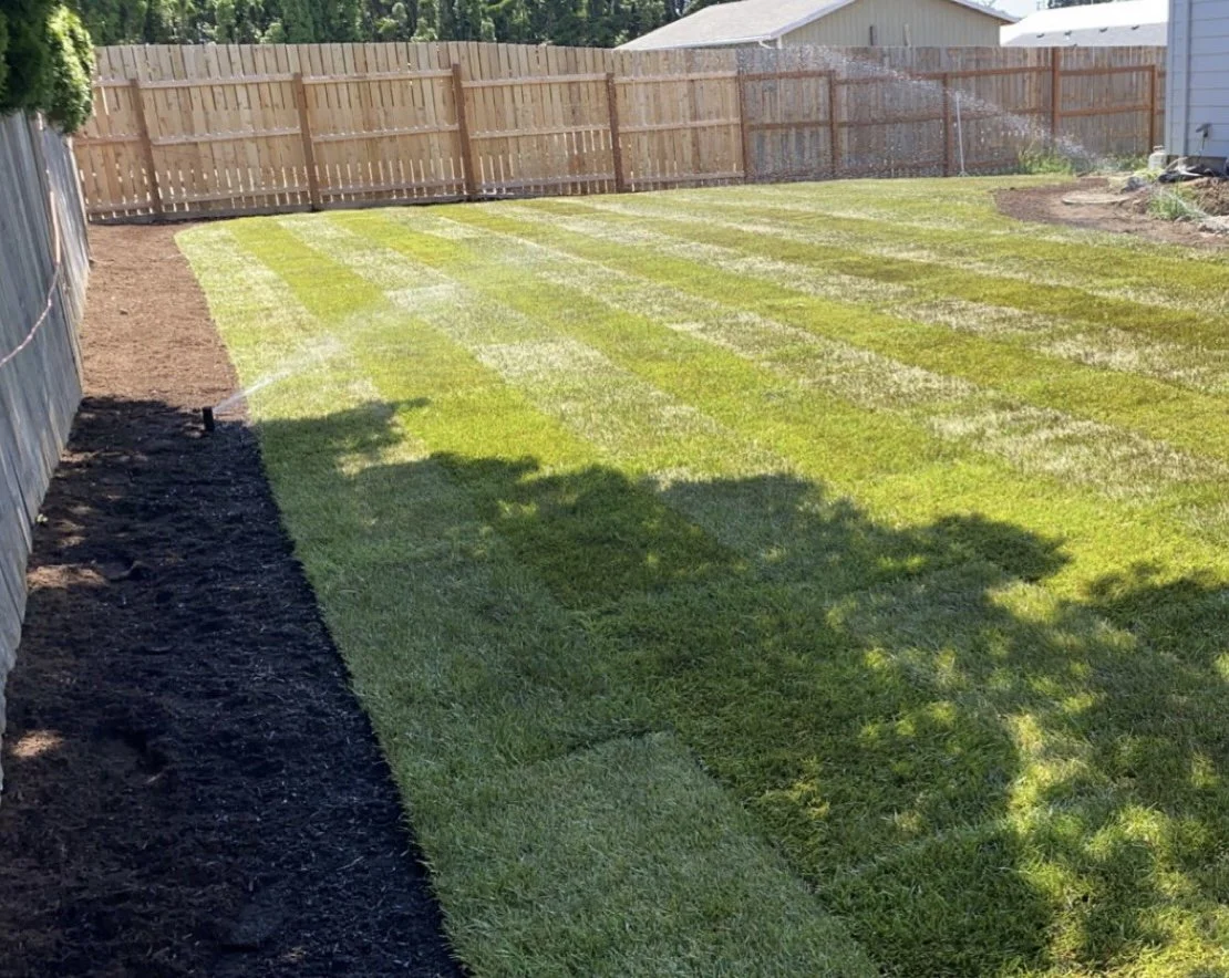 A backyard with freshly laid sod and a sprinkler watering the grass, enclosed by a wooden fence.