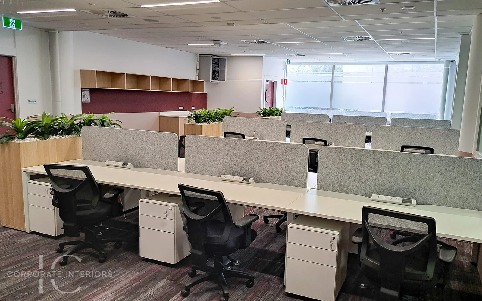 Empty modern office with workstations separated by partitions, black ergonomic chairs, potted plants, and a frosted glass window wall.