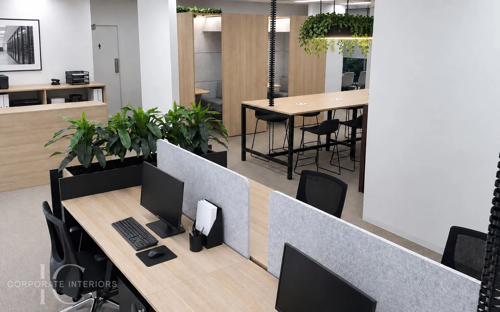Commercial office furniture featuring workstations, acoustic booths, communal workbench and suspended planter in Forest Hill.