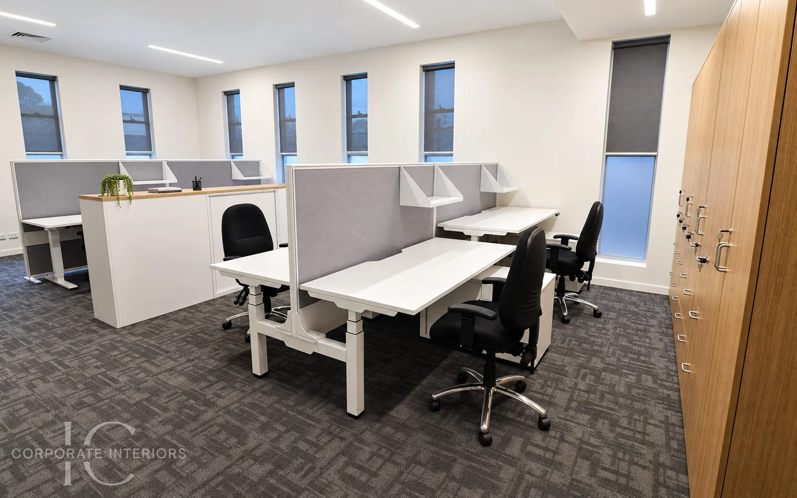 Height-adjustable office workstations with grey partition screens, office chairs and timber storage