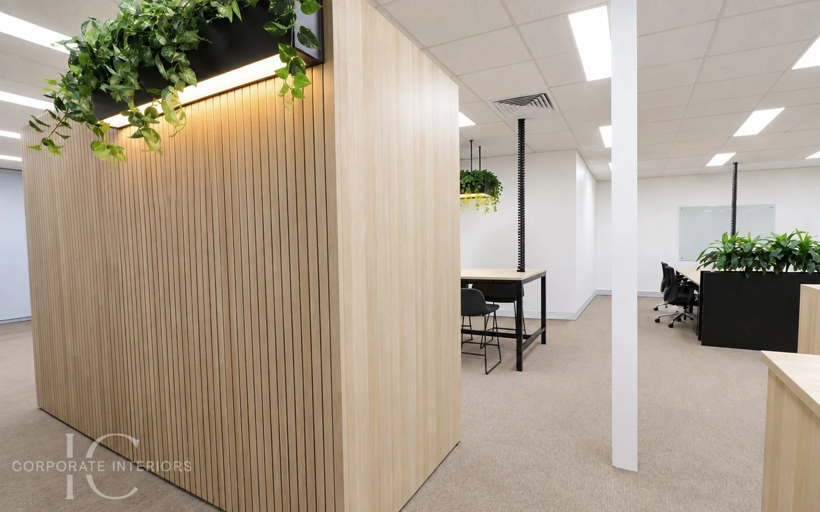 Custom Laminex Classic Oak acoustic booths with feature wall panels and hanging planter feature in a Forest Hill commercial office.