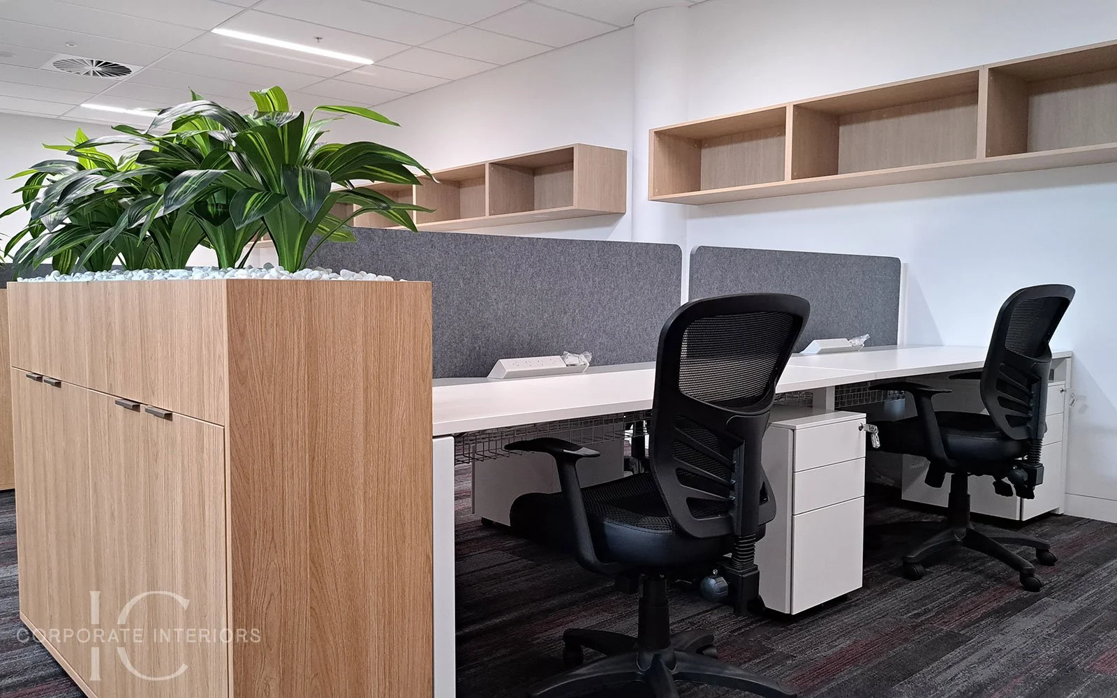 Modern office cubicles with black ergonomic chairs, a wooden storage cabinet, a large green plant, and wooden wall shelves on a white wall.