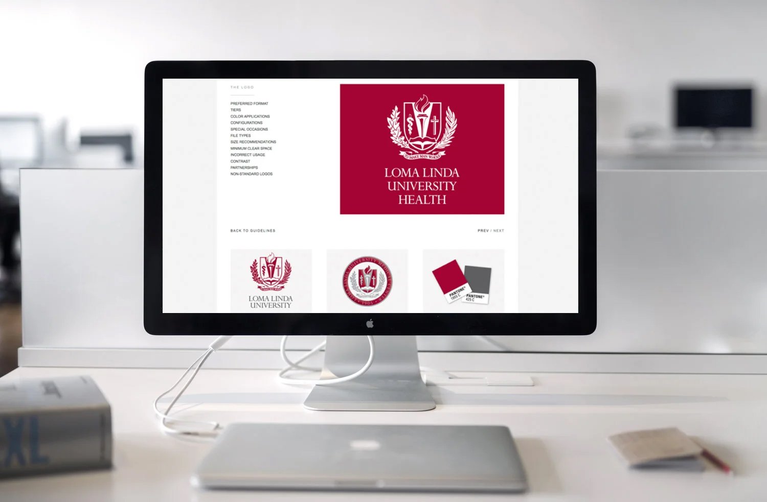 Computer screen displaying branding and guidelines for Loma Linda University Health.
