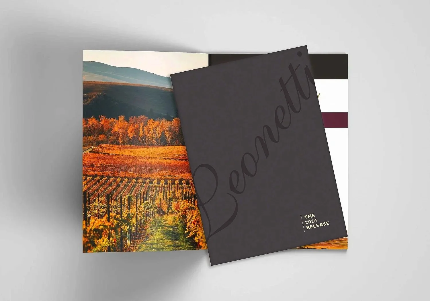 Open booklet with vineyard landscape photo on the left page and a black cover titled 'Revette' with 'The 2024 Release' on the right.