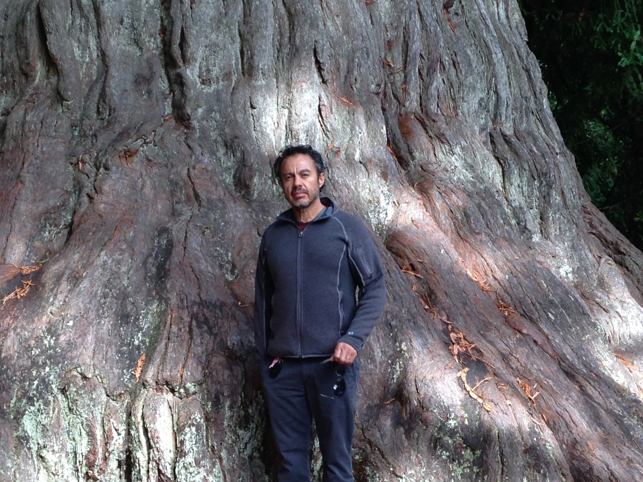 John Lepe standing beside a mature tree, reflecting a lifelong commitment to thoughtful estate and landscape stewardship.