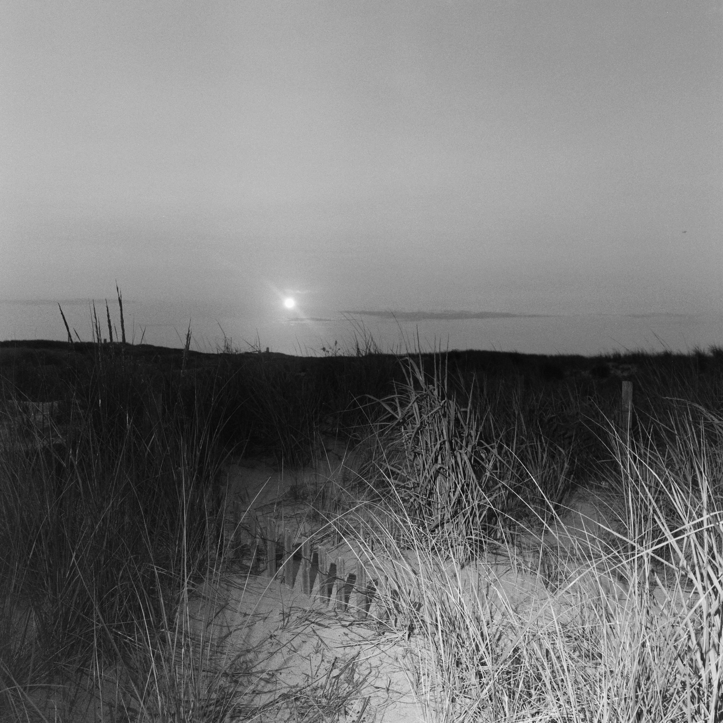 Fort Tilden