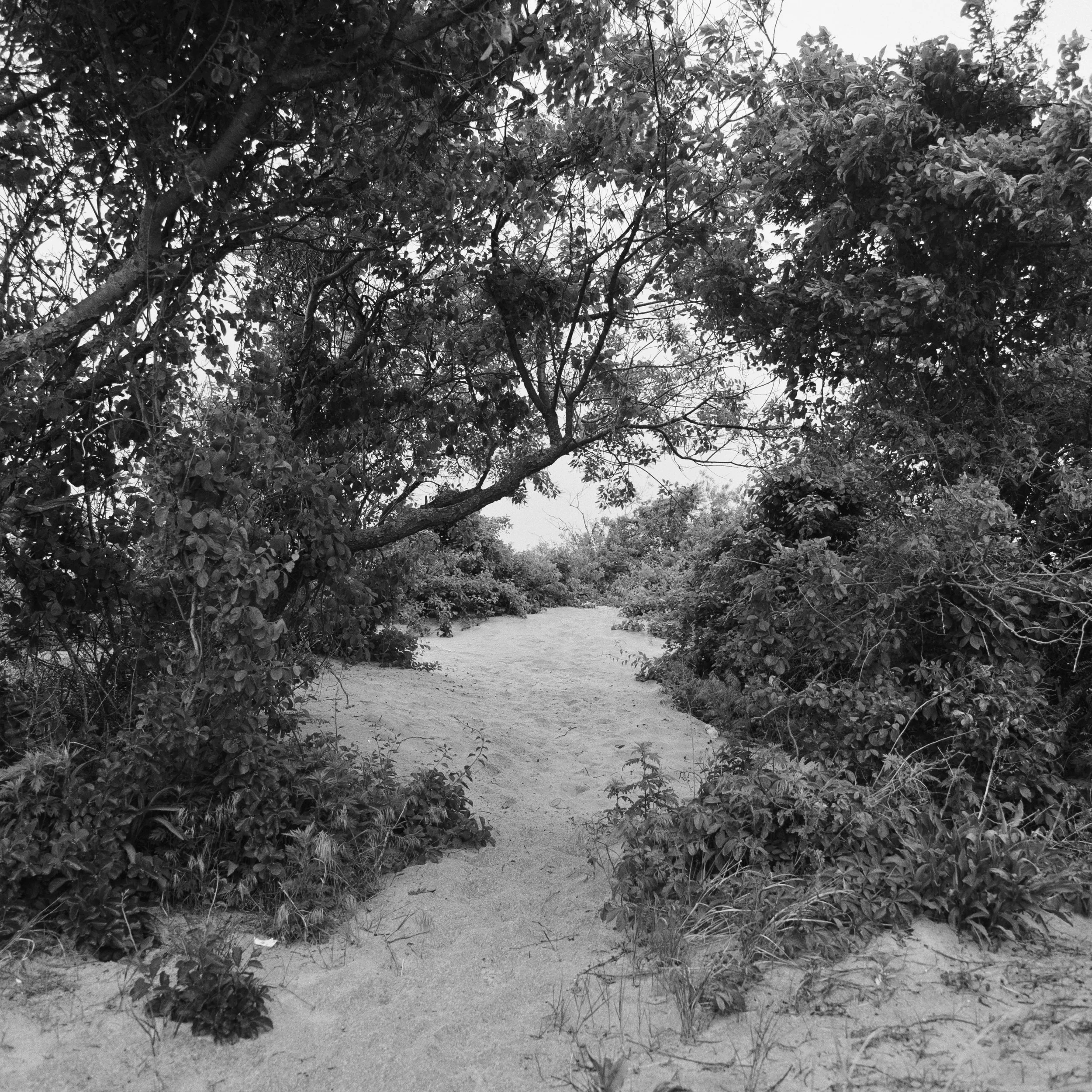 Plumb Beach