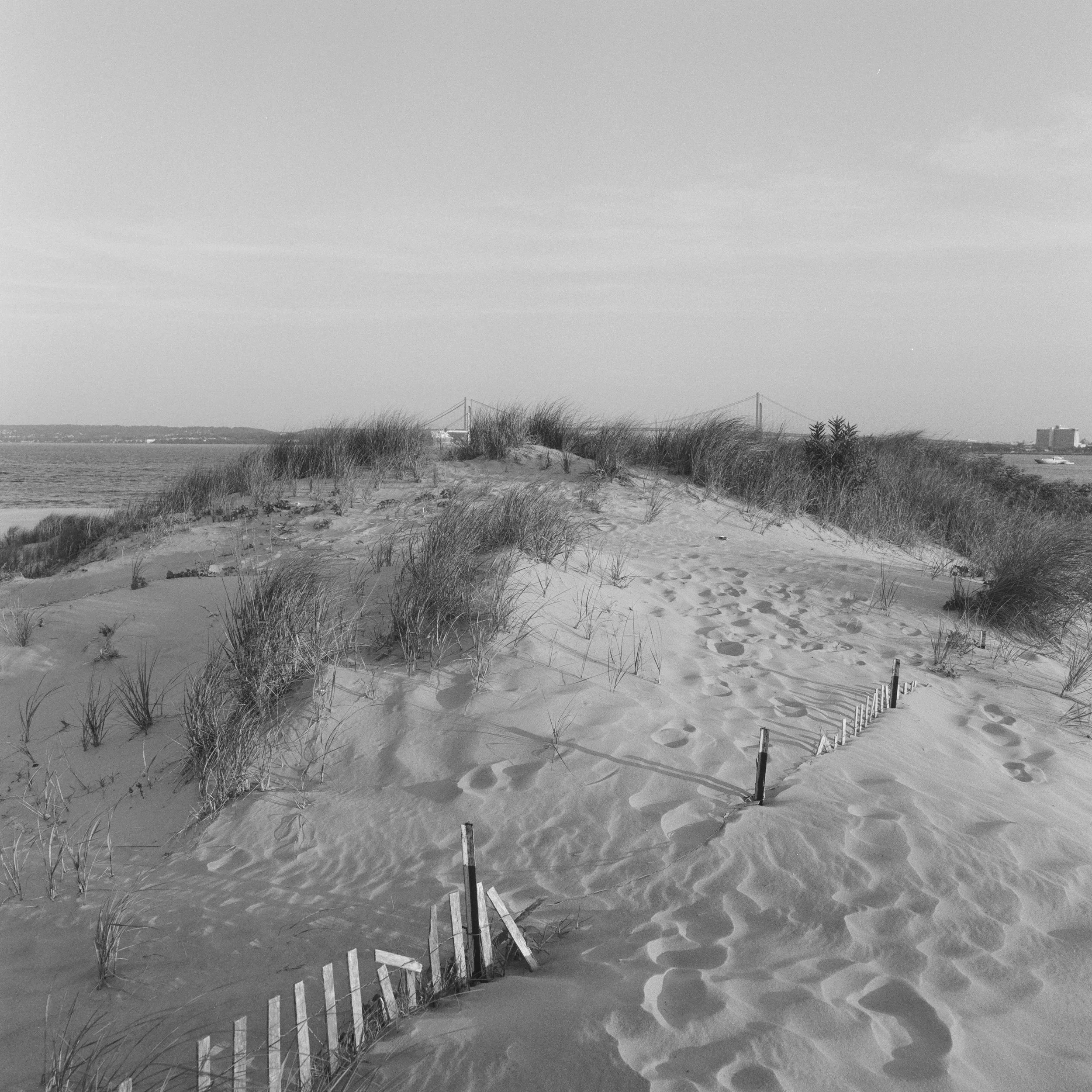 Coney Island Creek Park