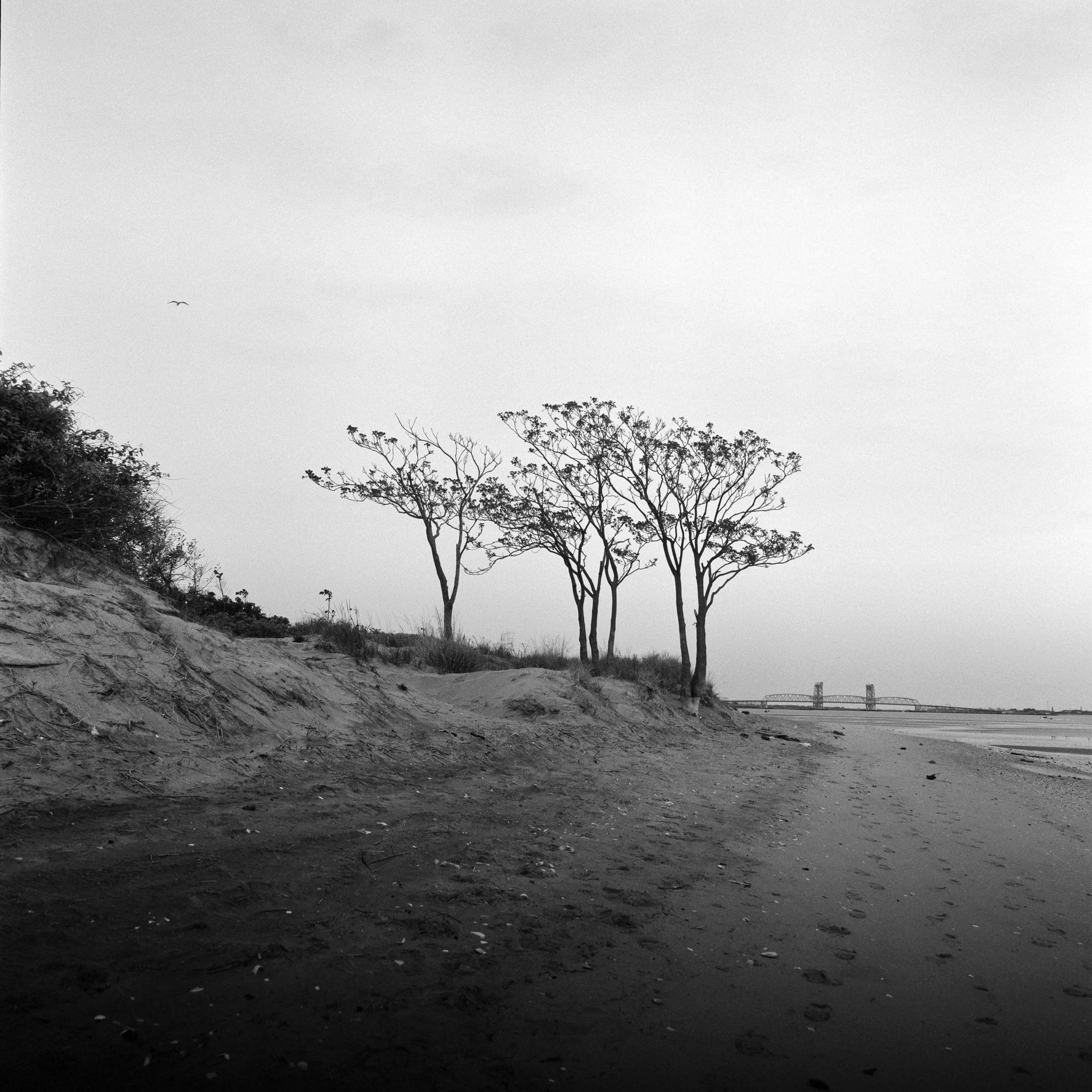 Plumb Beach