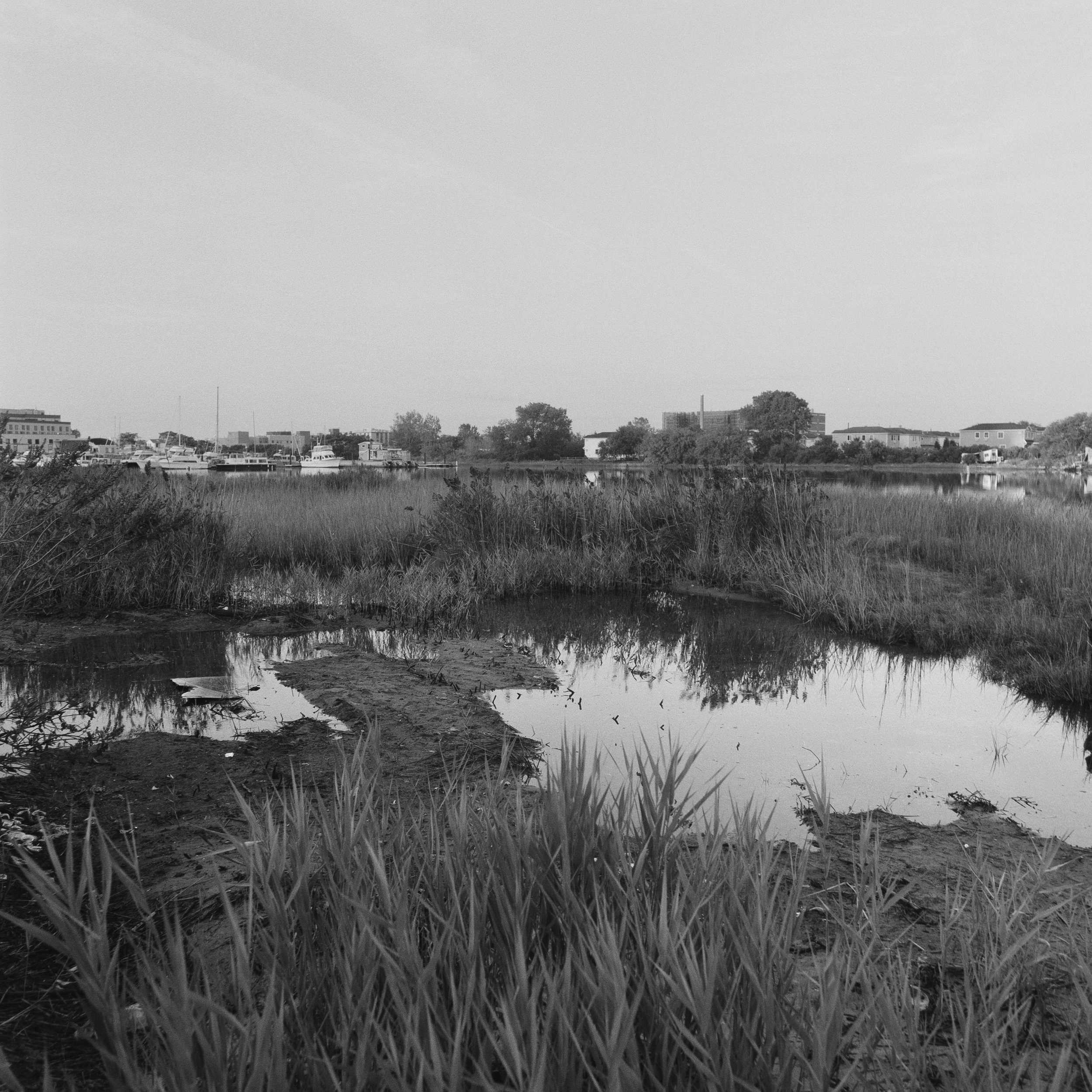 Edgemere
