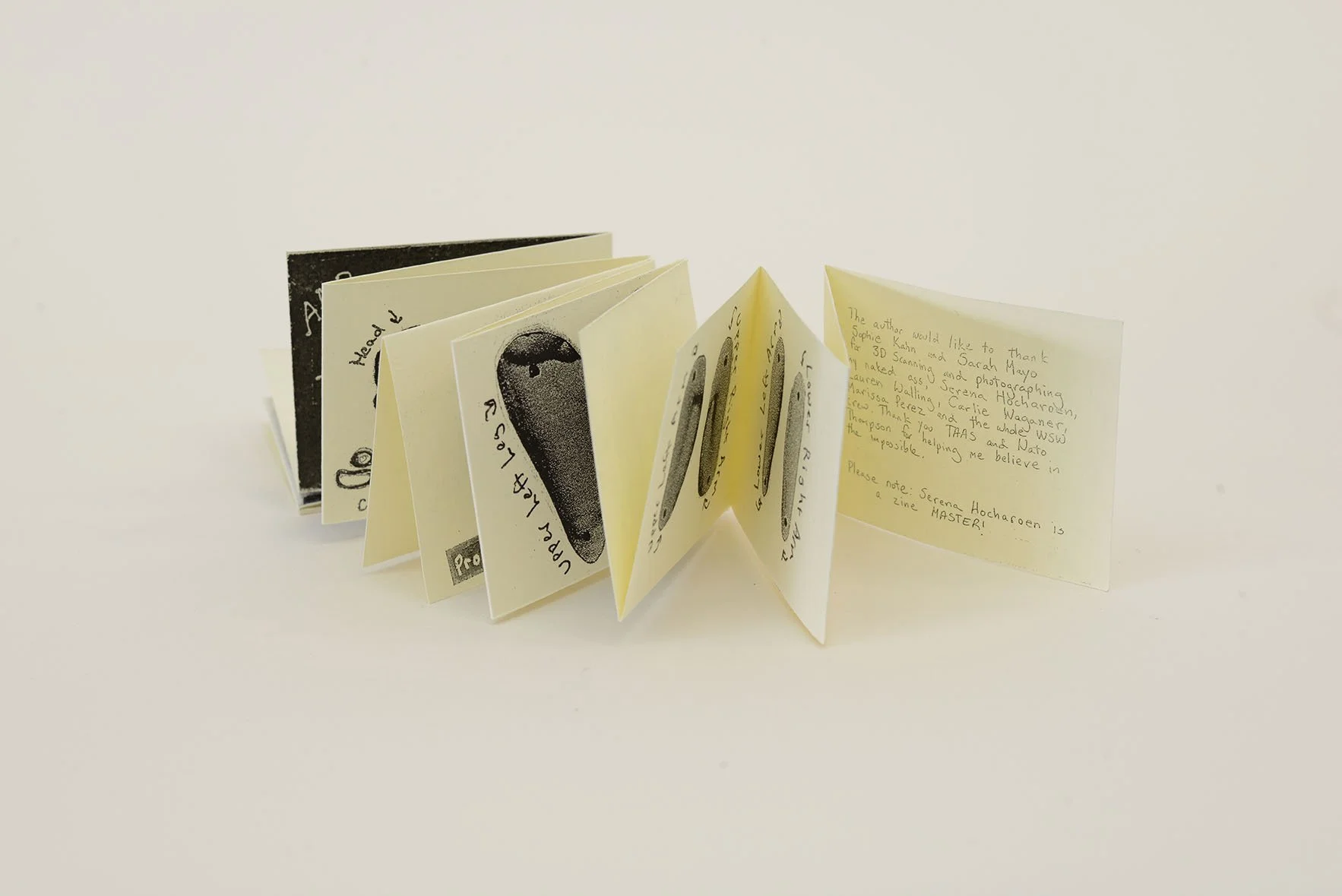 Play With Me Mini Puppet Zine inside