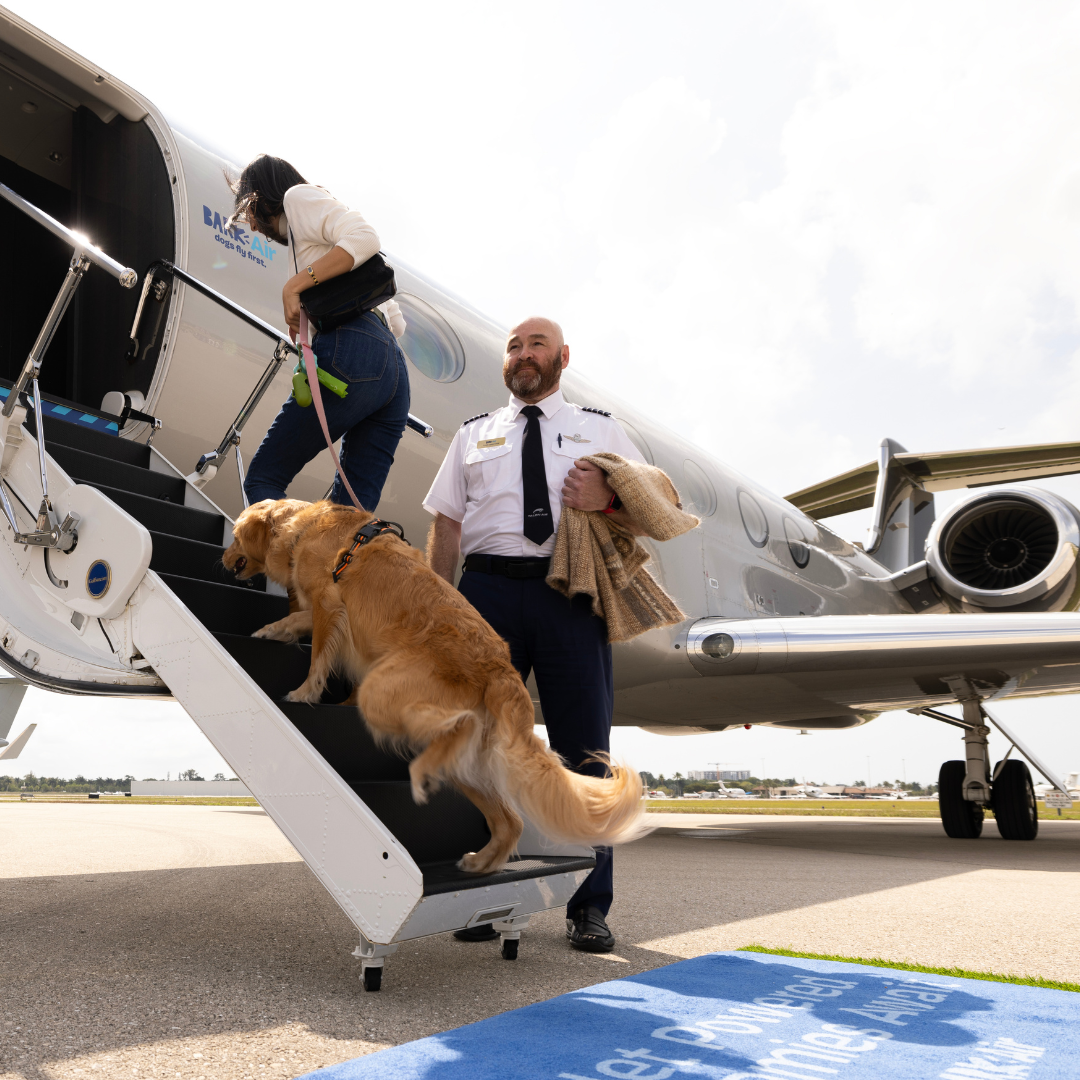 Pet-Friendly Travel