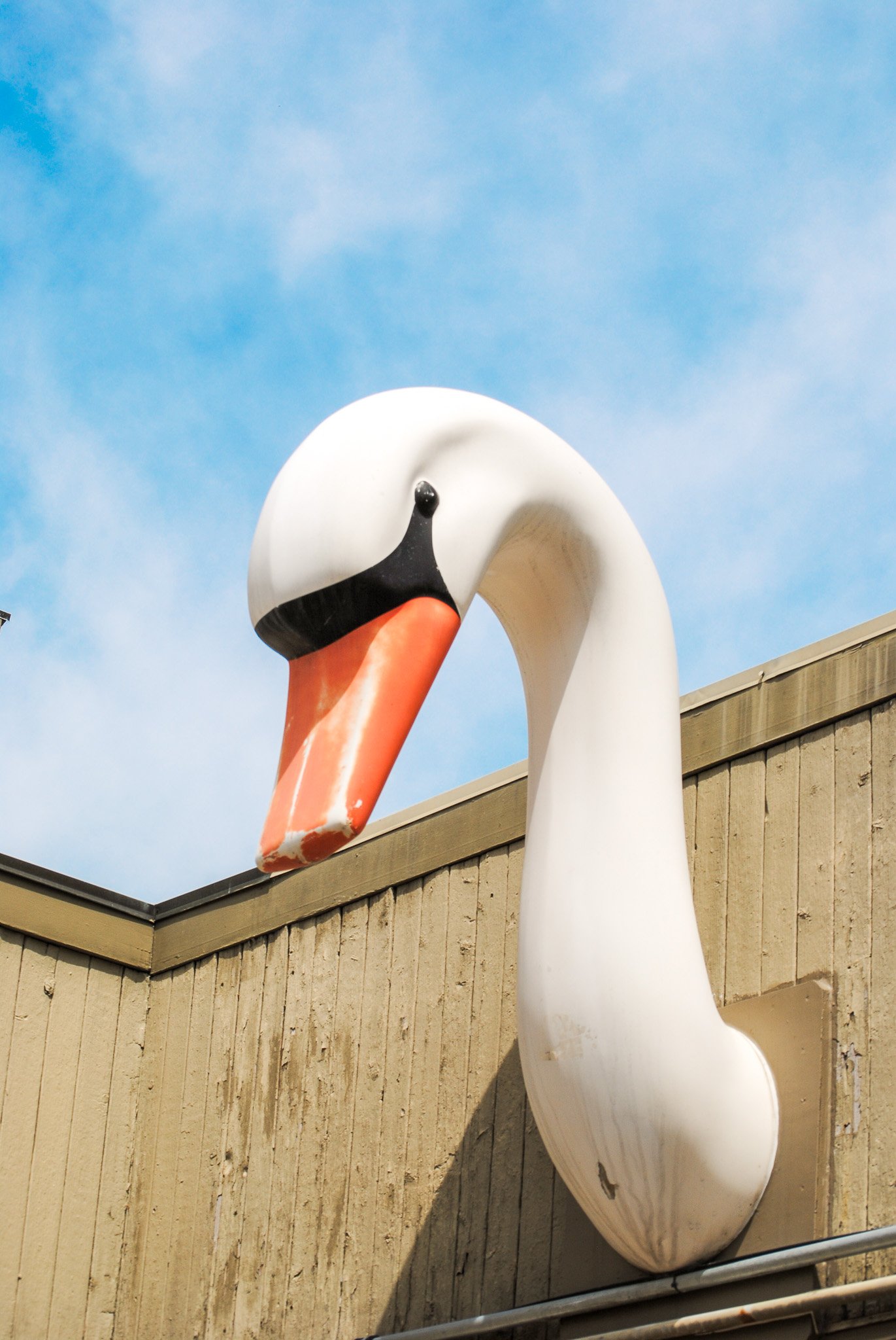A large outdoor sculpture of a swan with a white elongated neck, an orange beak, and a black eye, set against a blue sky with some clouds and a building with beige wooden siding.