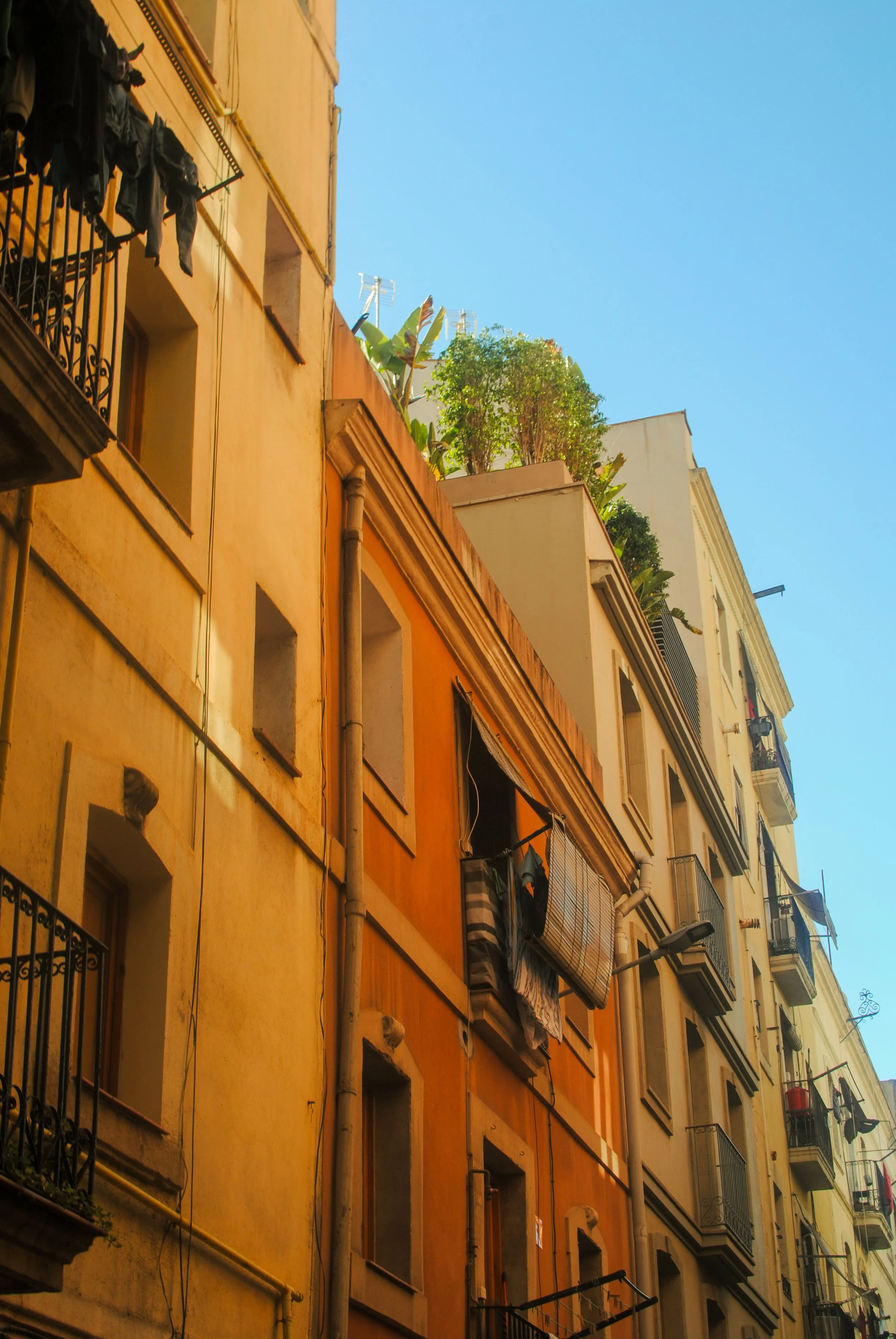 Colorful apartment building facades in a city with balconies, laundry hanging outside, and lush plants on the rooftops against a bright blue sky.