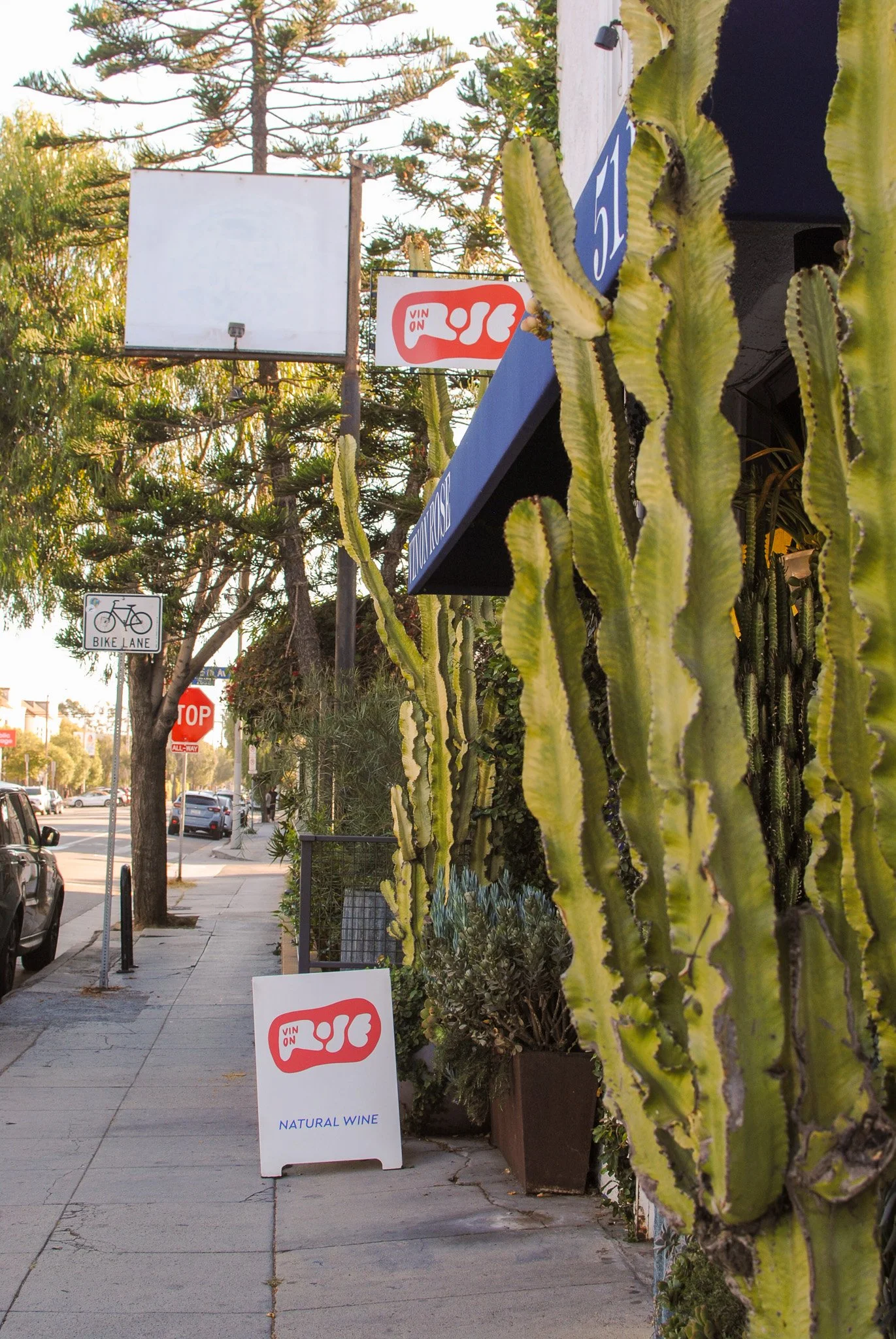 A sidewalk with tall cactus plants on the right side and parked cars on the left. Signs for a wine store, including a whiteboard sign indicating "NATURAL WINE" and a branded sign with a red logo are in the scene. Trees and a street are visible in the