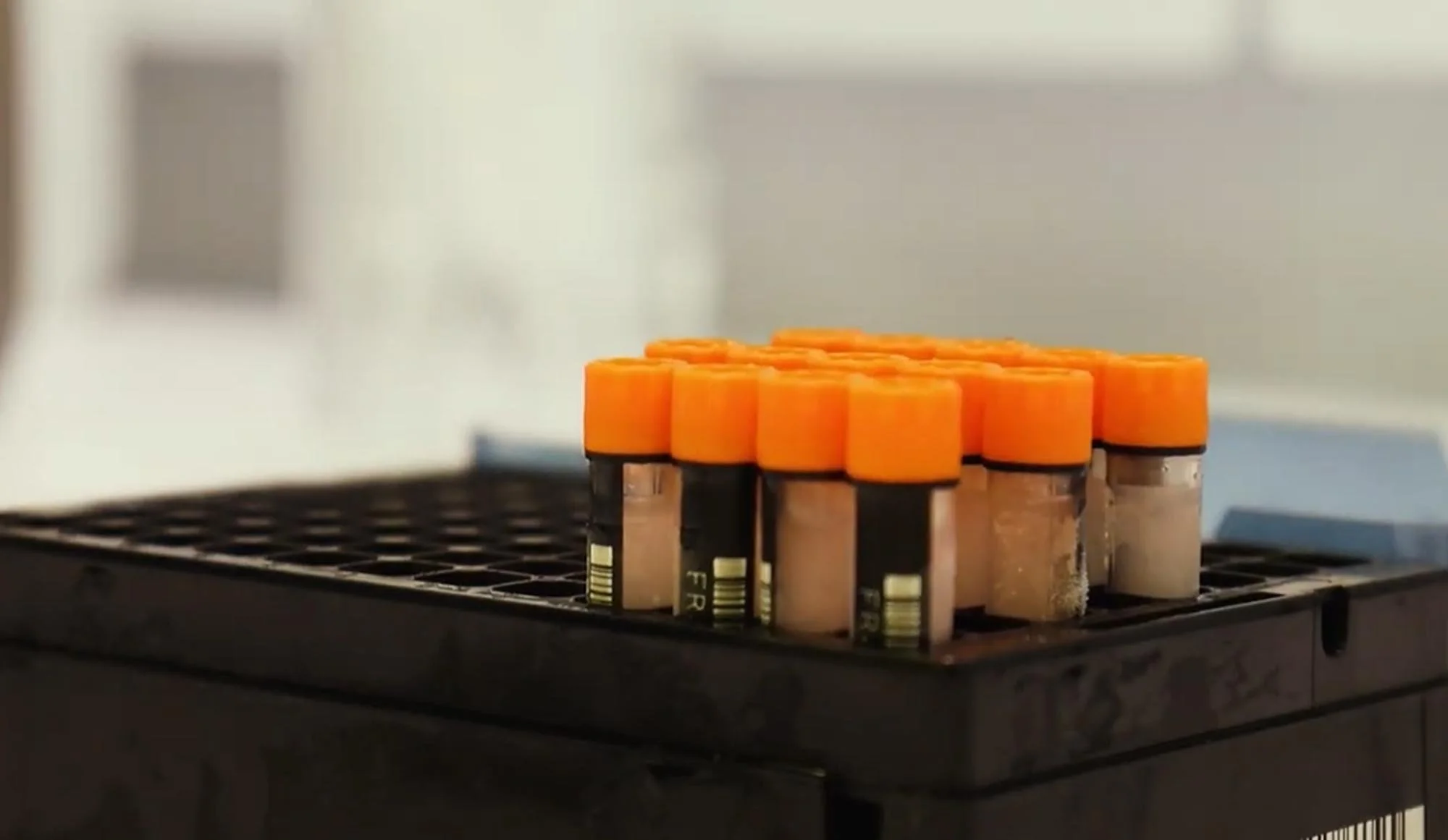 Gut microbiome research film Australia Ecological Media
