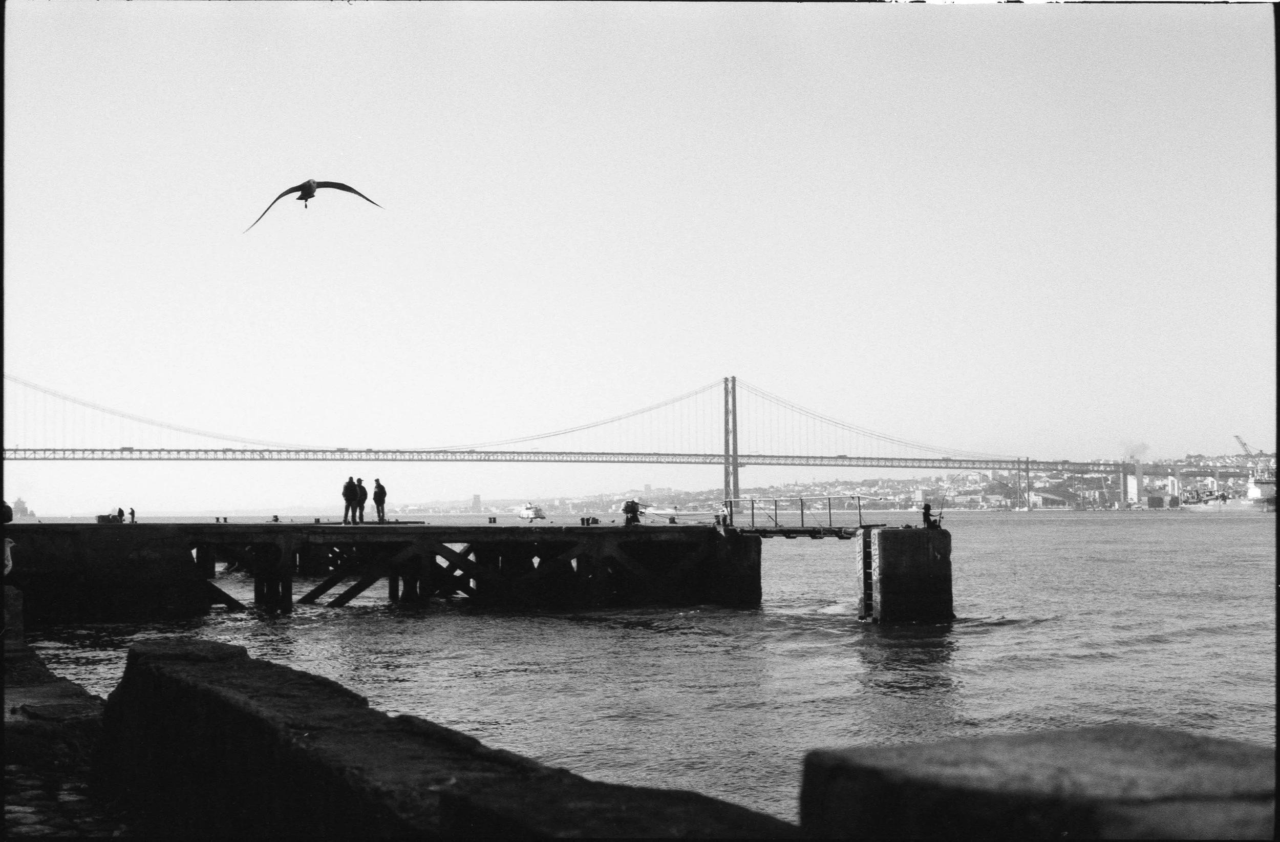 SERGIO_010425_R1 014.jpg