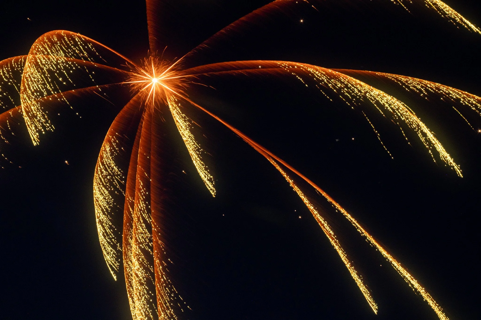 DSCF3581.jpg