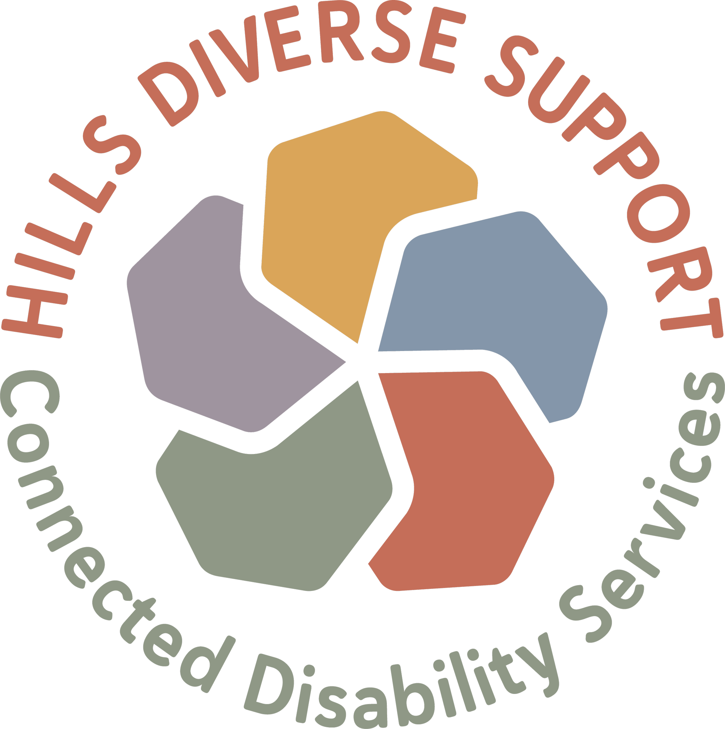 Logo of the disability community called 'The Diverse Support.' The logo has text in a circular pattern around abstract, multicolored shapes resembling overlapping stones or abstract forms.