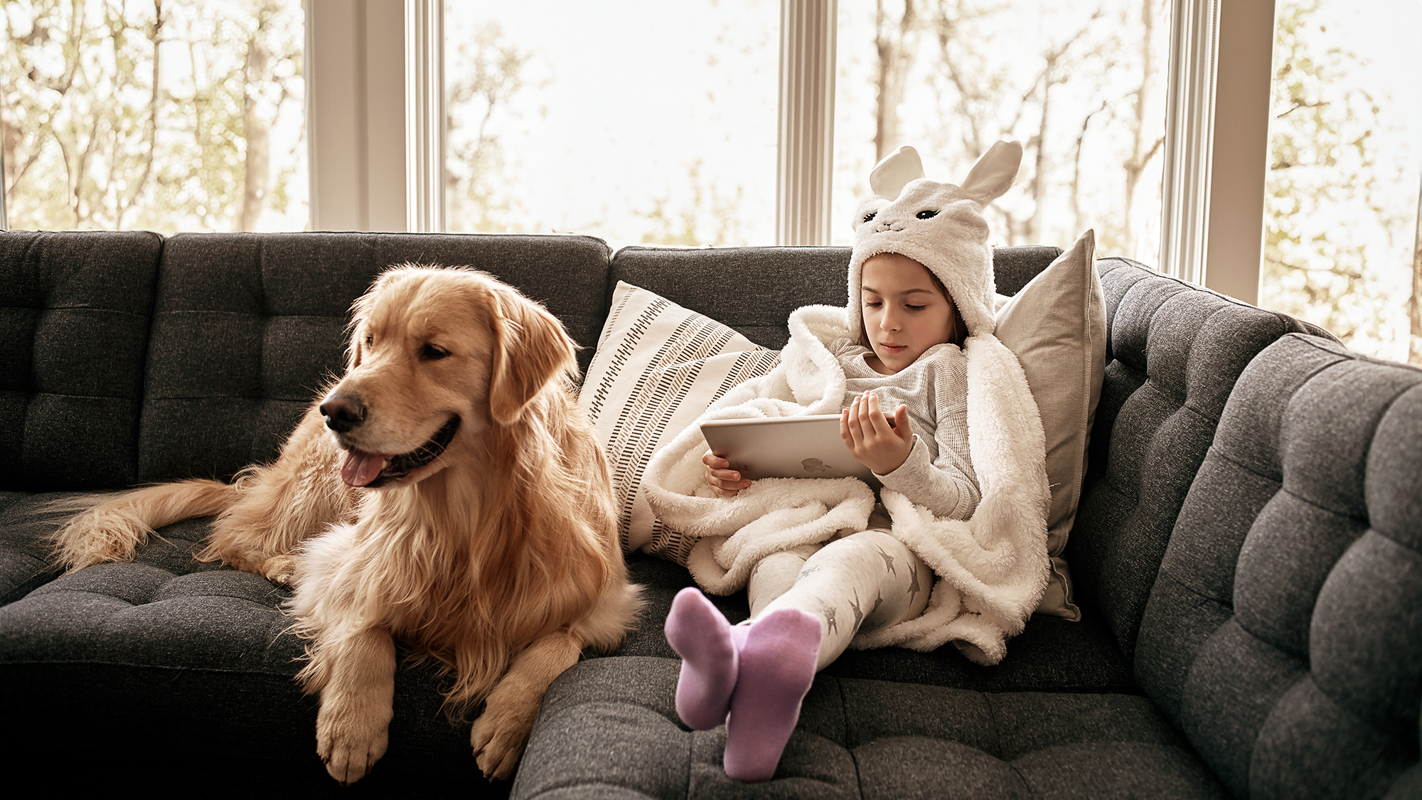 3_03_LR_ChildDogSofa_09.webp