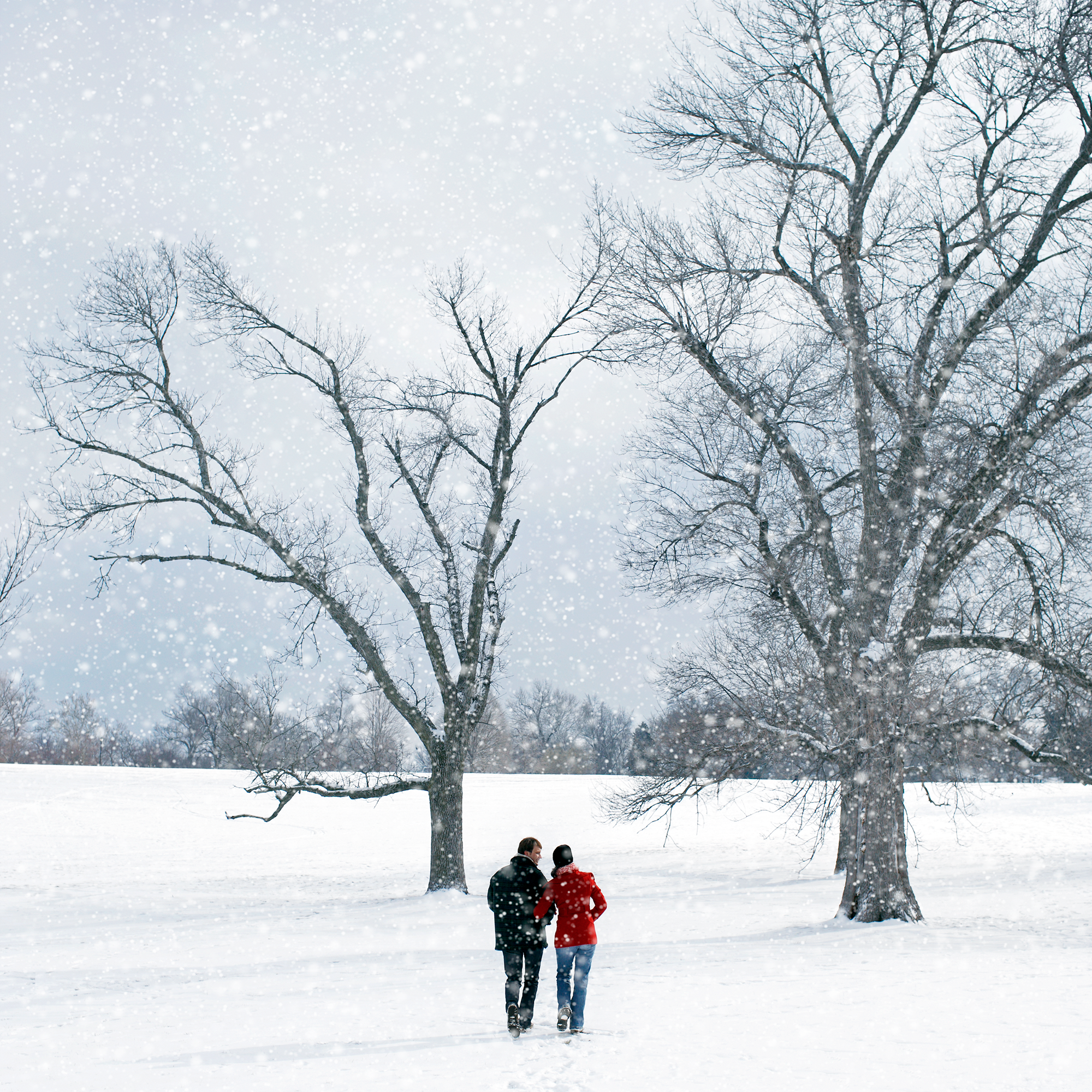 _Q4D9815.webp