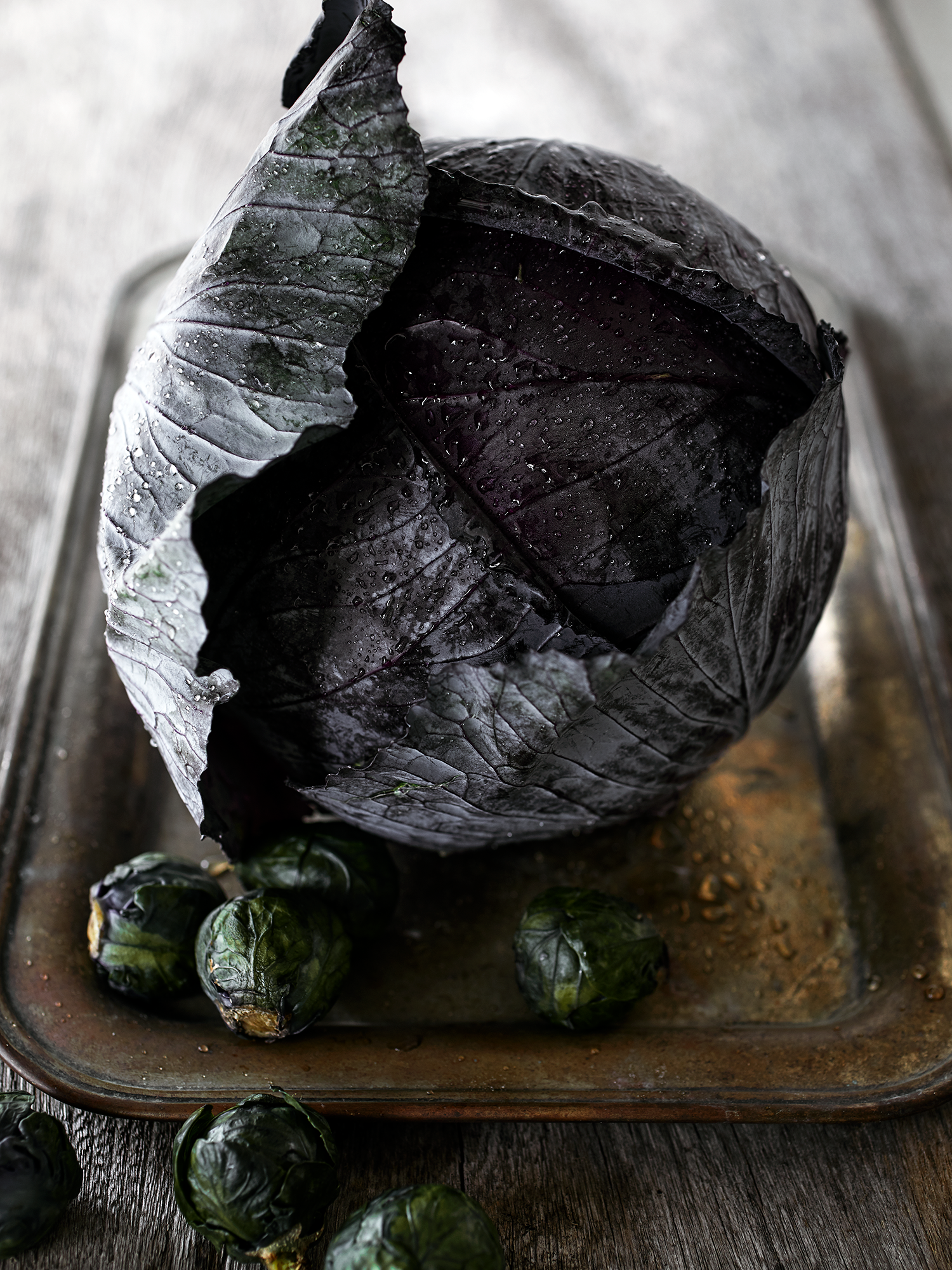 FoodTestFeb193074.webp