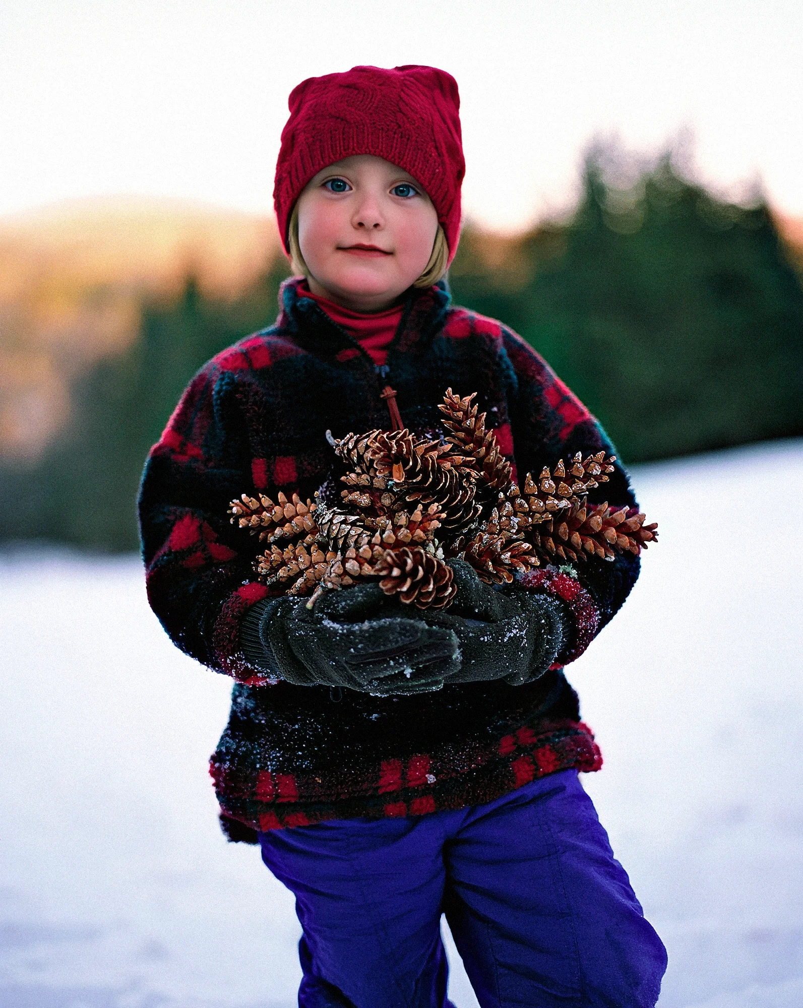 mollie and cones-2.webp