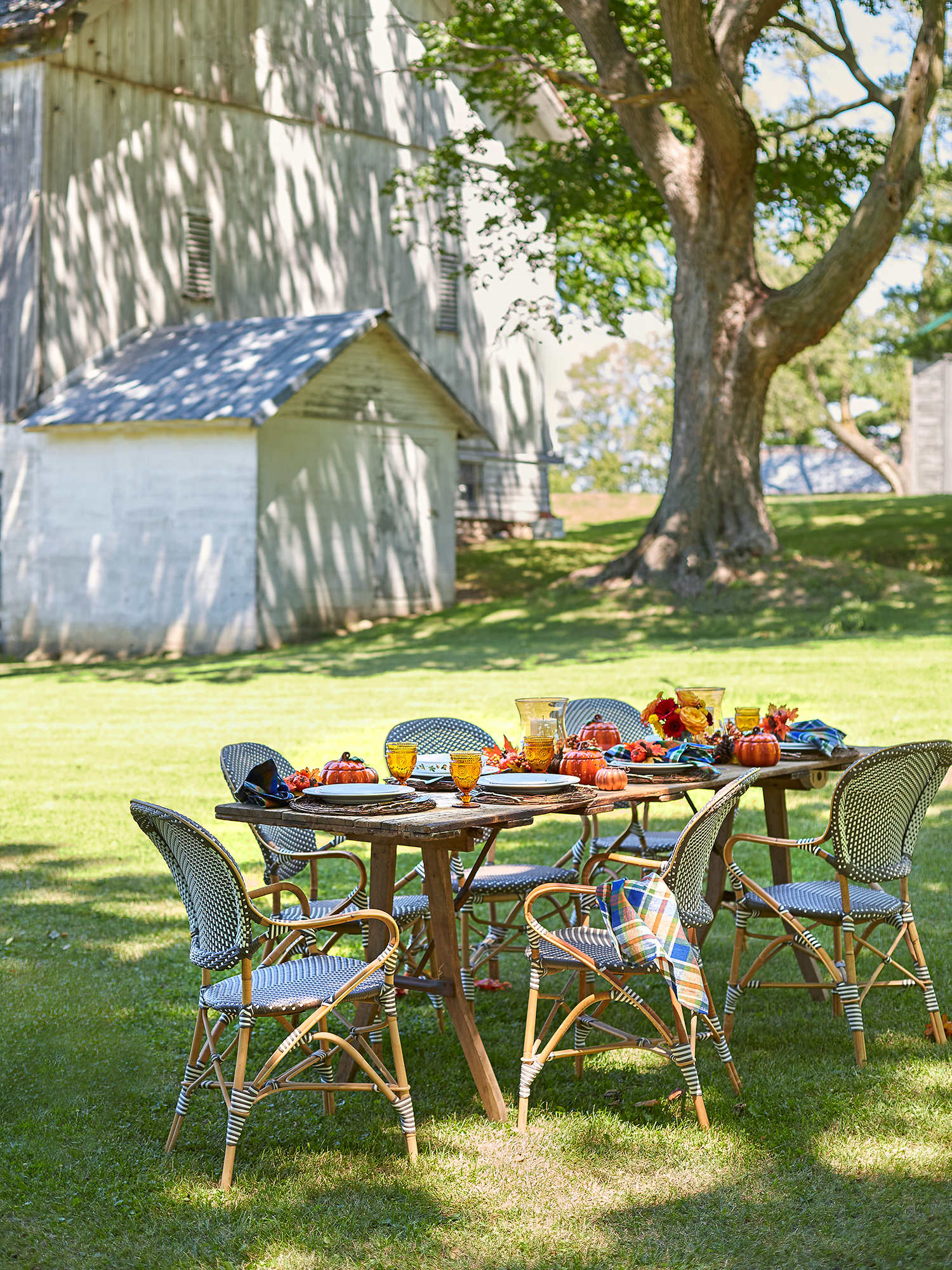 3499456_09Q_0817crop 1.webp