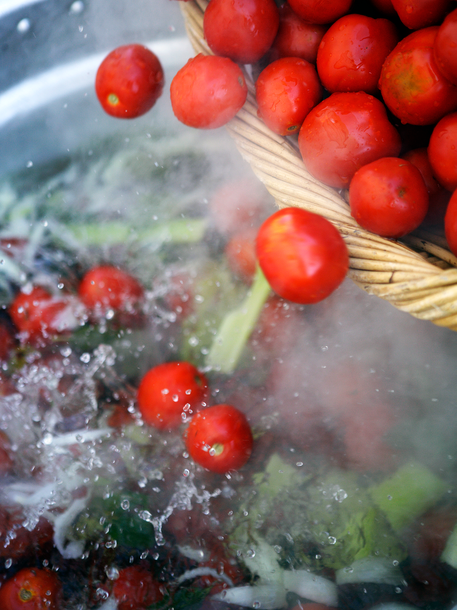 tomato 031.webp