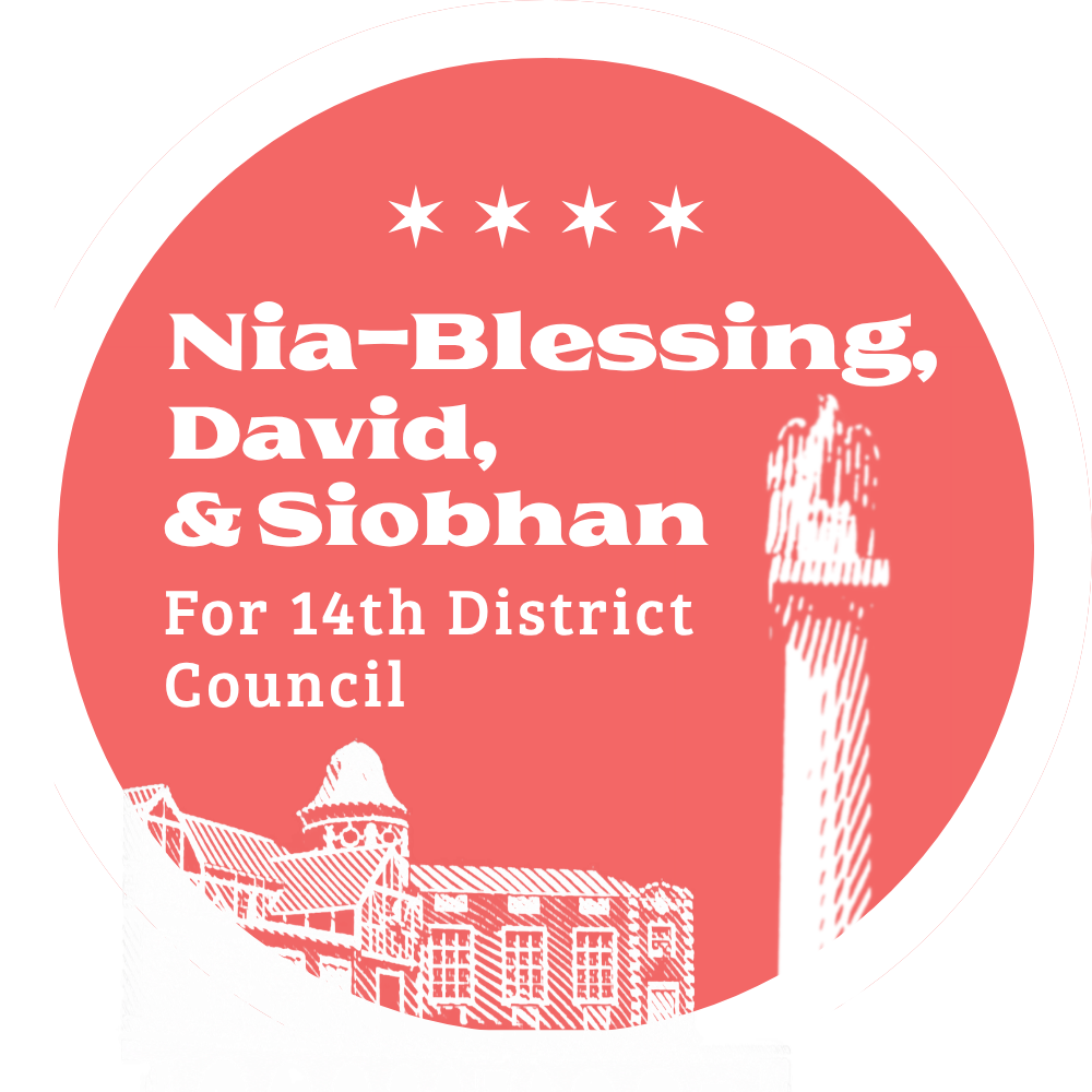 Nia-Blessing, David, &amp; Siobhan for 14th District Council